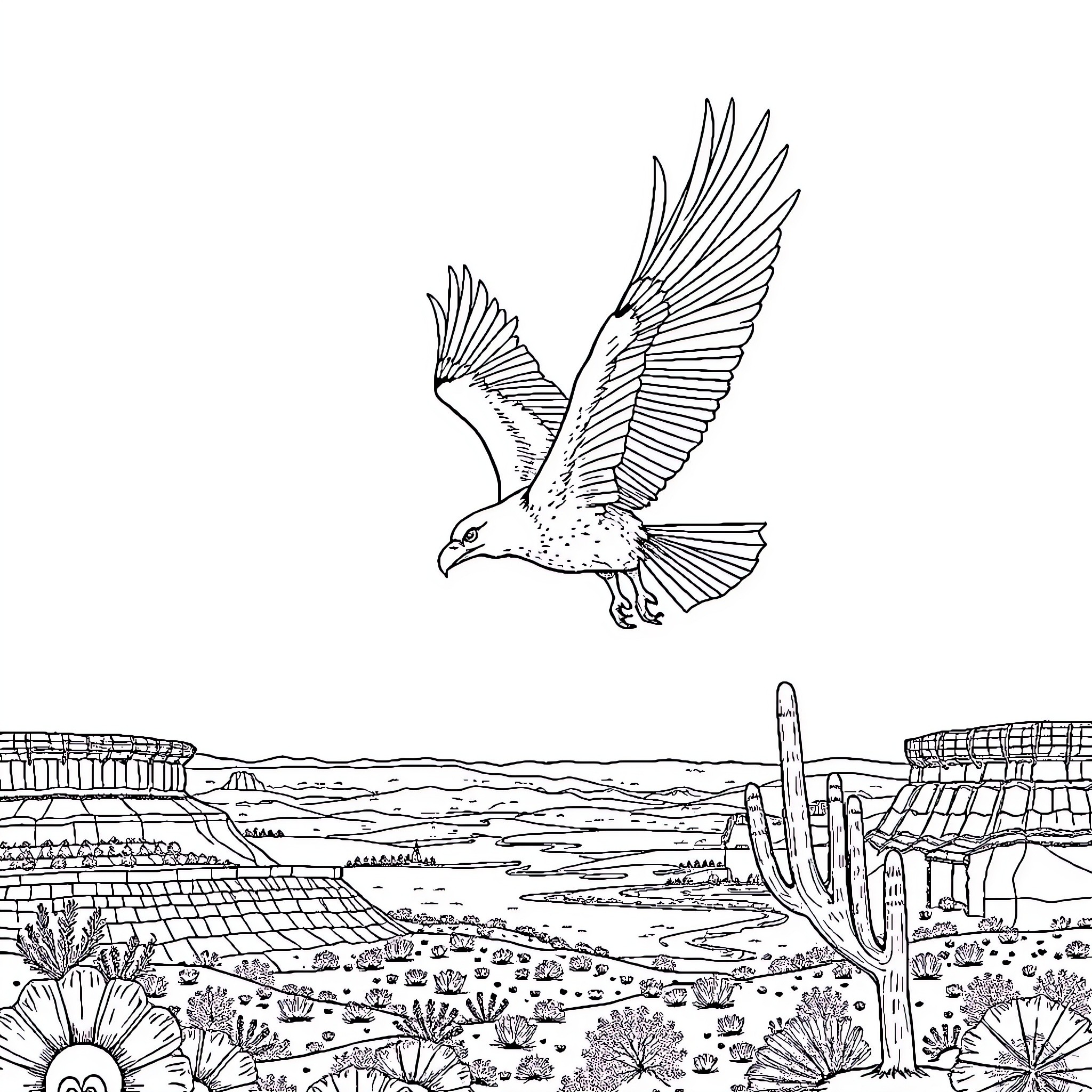 Eagle soaring gracefully over desert landscape Coloring Page (free black-and-white line drawing printable PDF for all, from beginners to advanced learners, including children, teens, adults, and seniors)