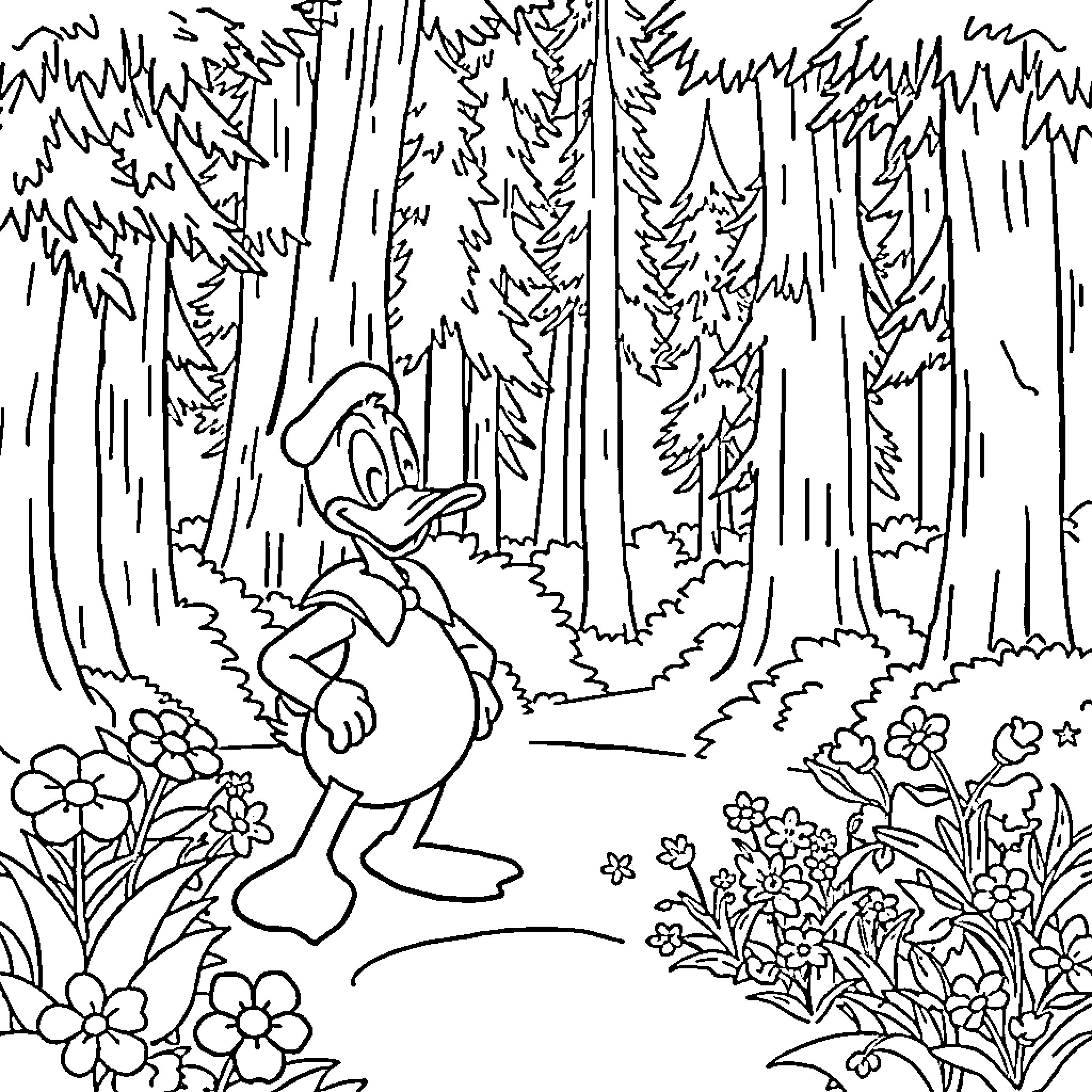 Donald Duck exploring the enchanted forest Coloring Page (free black-and-white line drawing printable PDF for all, from beginners to advanced learners, including children, teens, adults, and seniors)