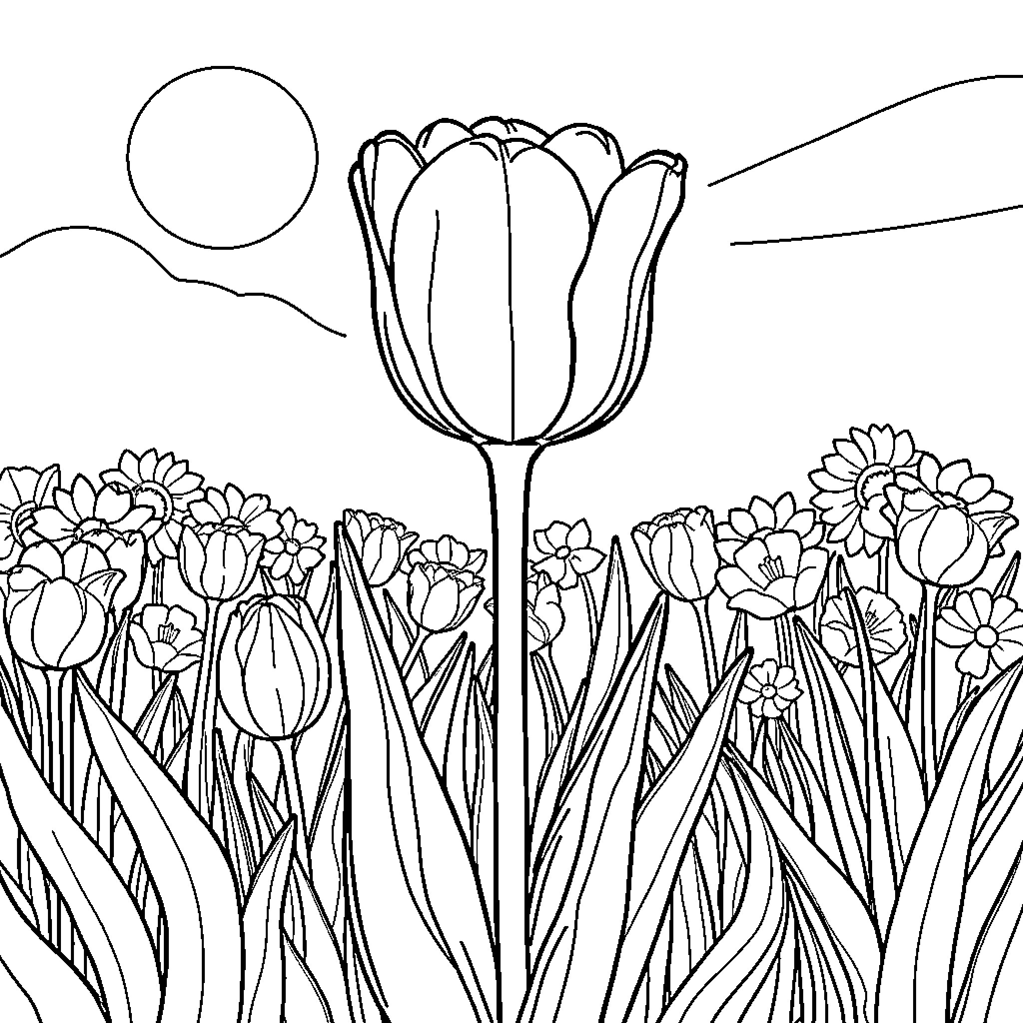 Tulip flowers blooming in a garden Coloring Page (free black-and-white line drawing printable PDF for all, from beginners to advanced learners, including children, teens, adults, and seniors)
