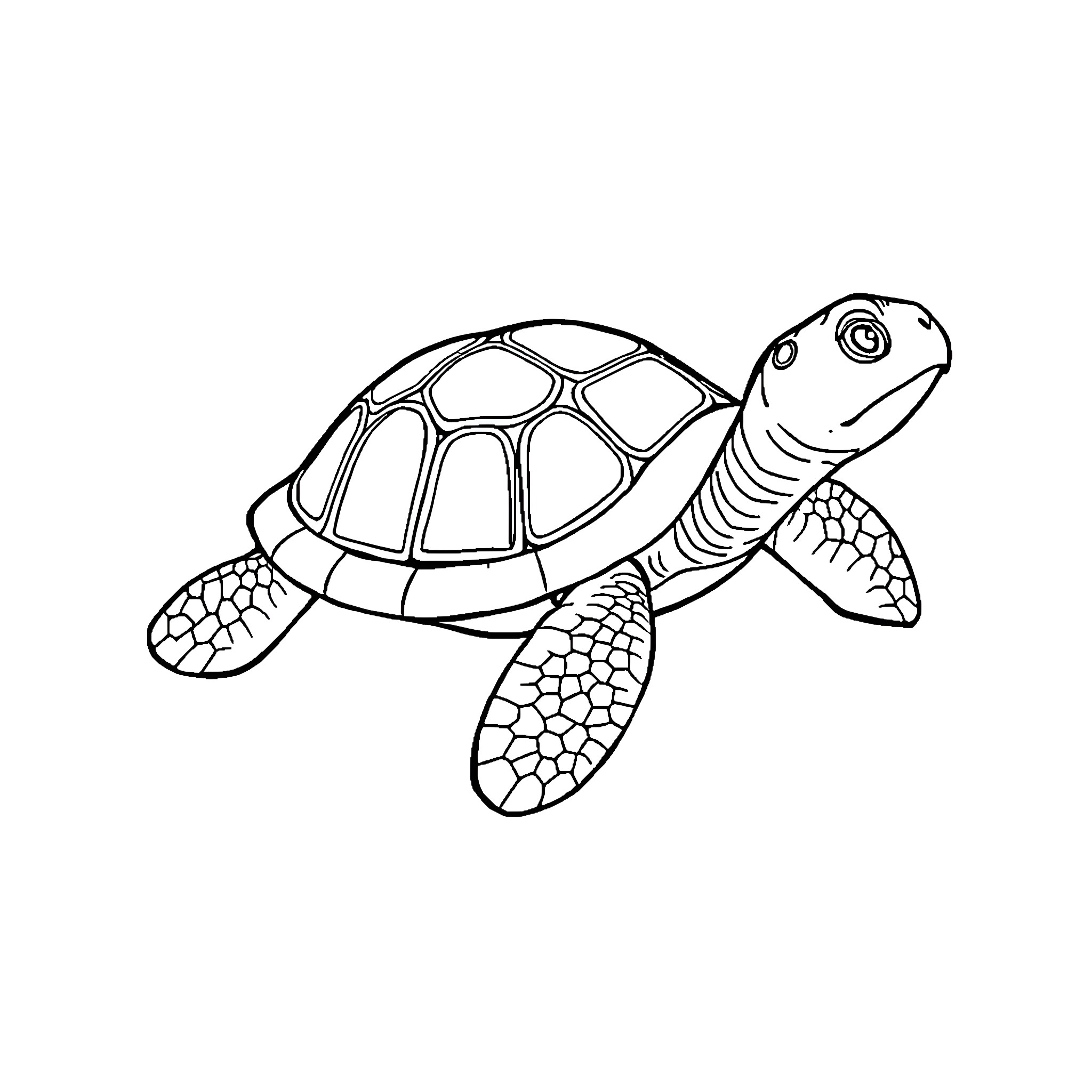 Turtle swimming happily in the ocean Coloring Page (free black-and-white line drawing printable PDF for all, from beginners to advanced learners, including children, teens, adults, and seniors)