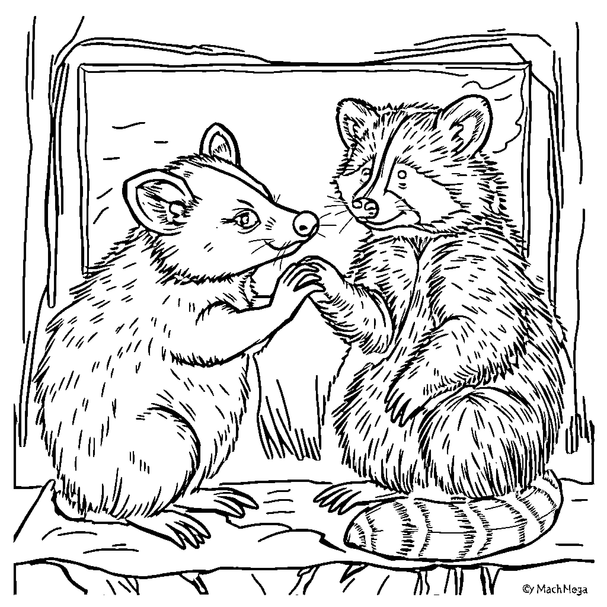 Opossum pair playing affectionately in nature Coloring Page (free black-and-white line drawing printable PDF for all, from beginners to advanced learners, including children, teens, adults, and seniors)