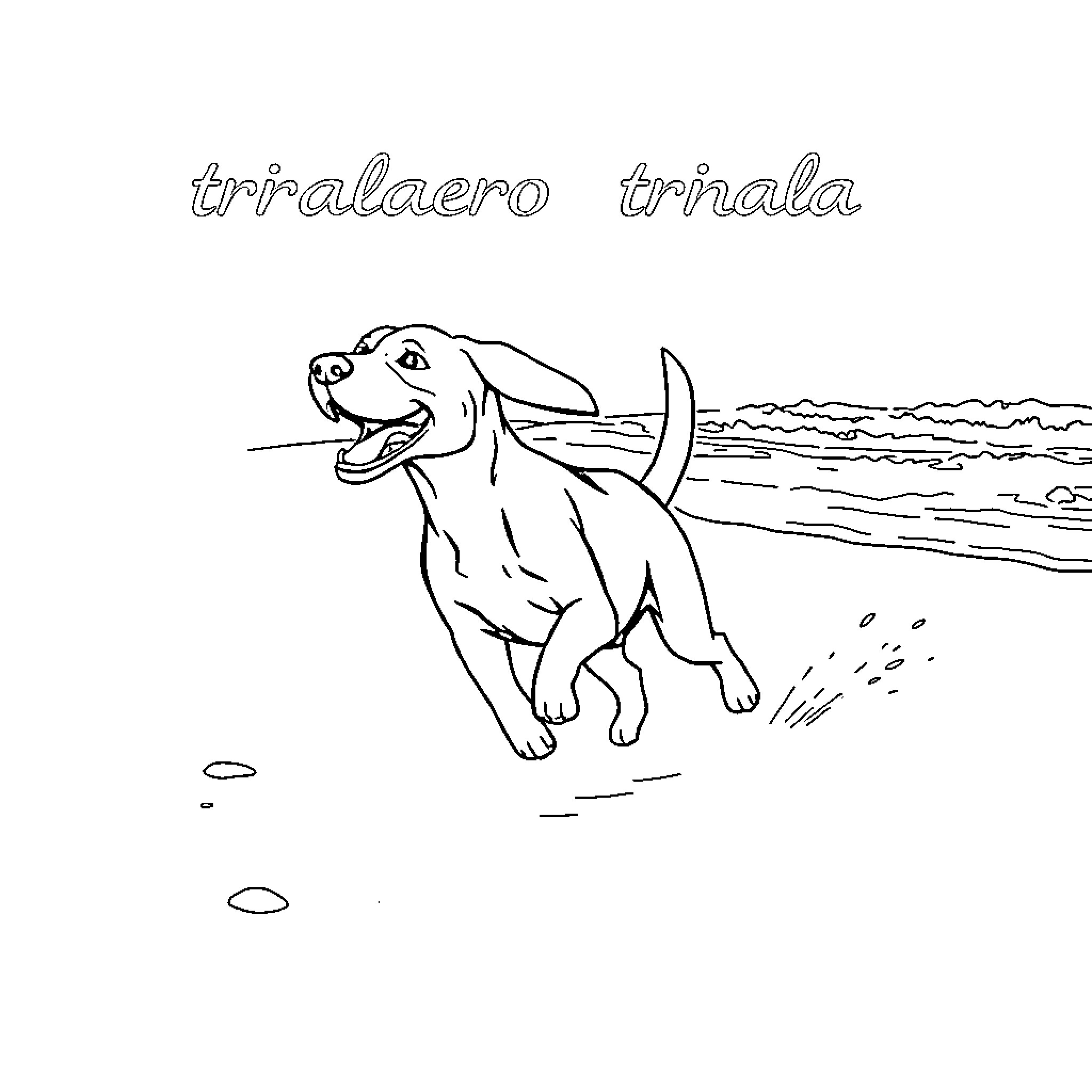 Beagle playing happily on the beach Coloring Page (free black-and-white line drawing printable PDF for all, from beginners to advanced learners, including children, teens, adults, and seniors)
