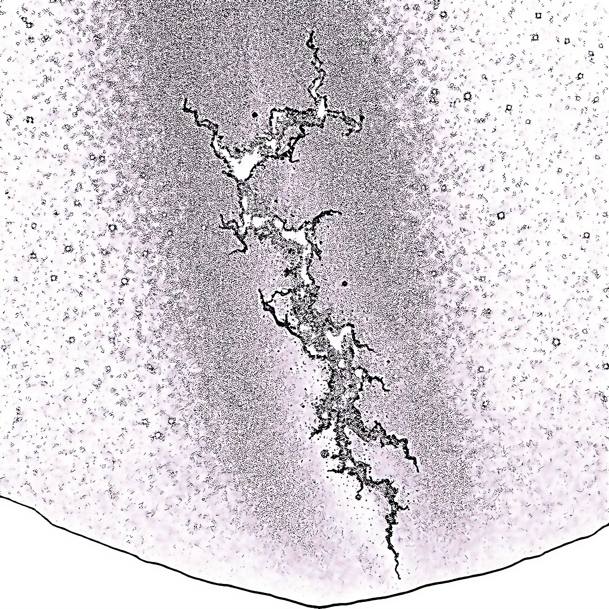 Milky Way galaxy in starry night sky Coloring Page (free black-and-white line drawing printable PDF for all, from beginners to advanced learners, including children, teens, adults, and seniors)