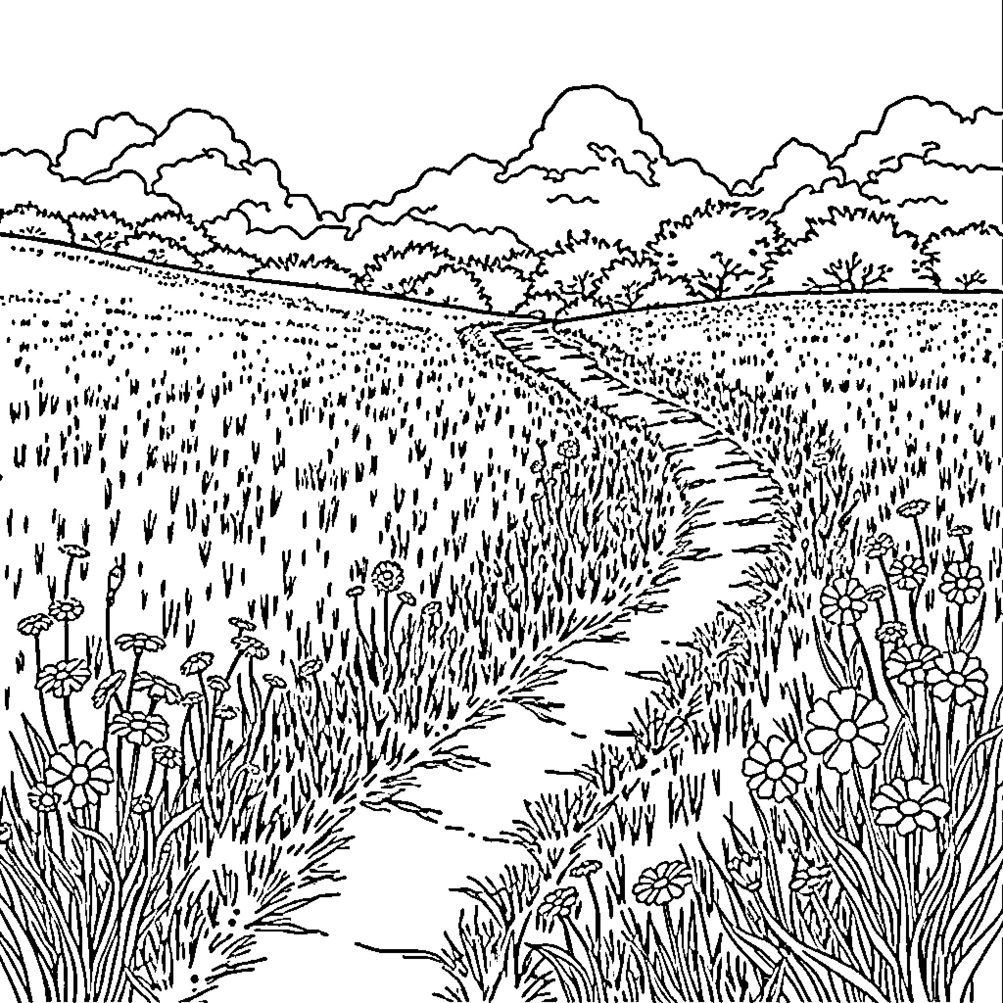 Path Through Lush Meadow Landscape Coloring Page (free black-and-white line drawing printable PDF for all, from beginners to advanced learners, including children, teens, adults, and seniors)