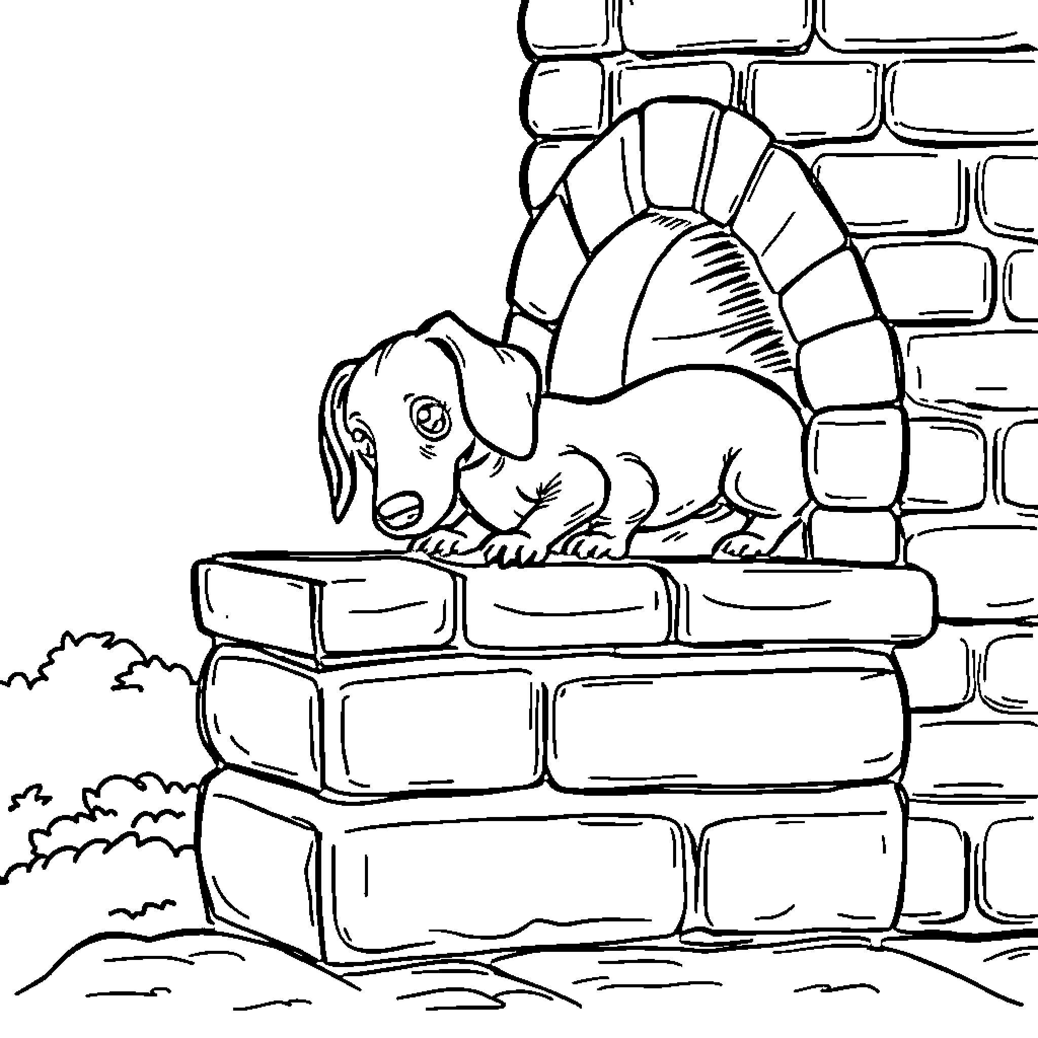 Dachshund peering curiously from behind a brick wall Coloring Page (free black-and-white line drawing printable PDF for all, from beginners to advanced learners, including children, teens, adults, and seniors)