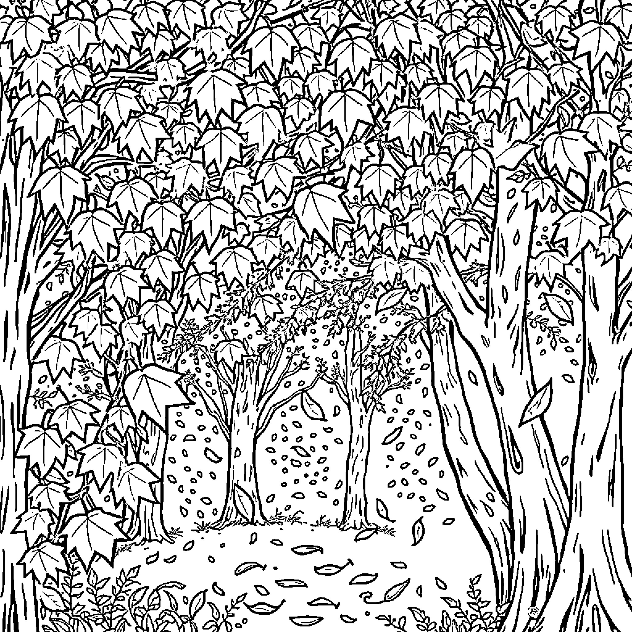 Leaf-Covered Forest Path Coloring Page (free black-and-white line drawing printable PDF for all, from beginners to advanced learners, including children, teens, adults, and seniors)