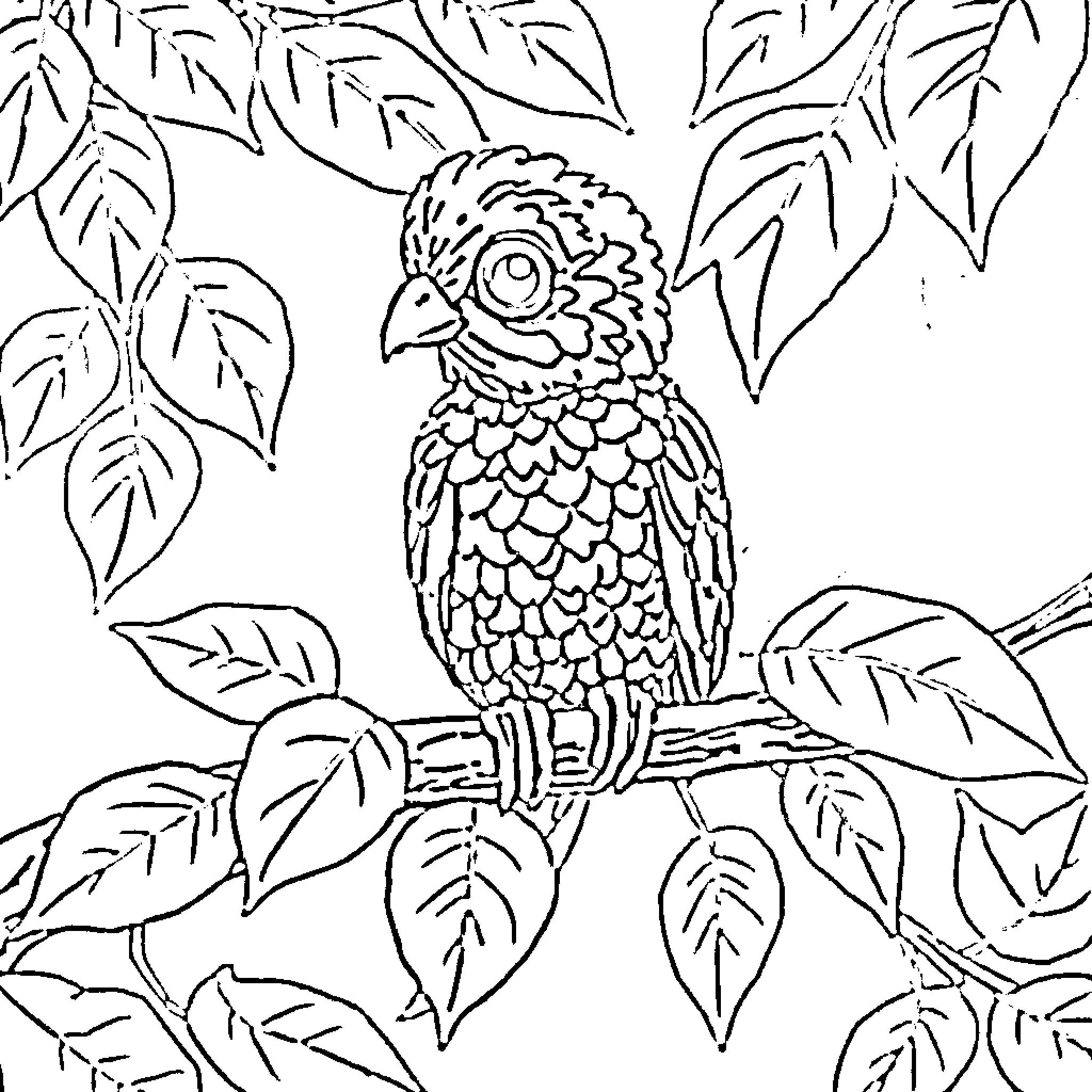 Chameleon perching on leafy branch Coloring Page (free black-and-white line drawing printable PDF for all, from beginners to advanced learners, including children, teens, adults, and seniors)