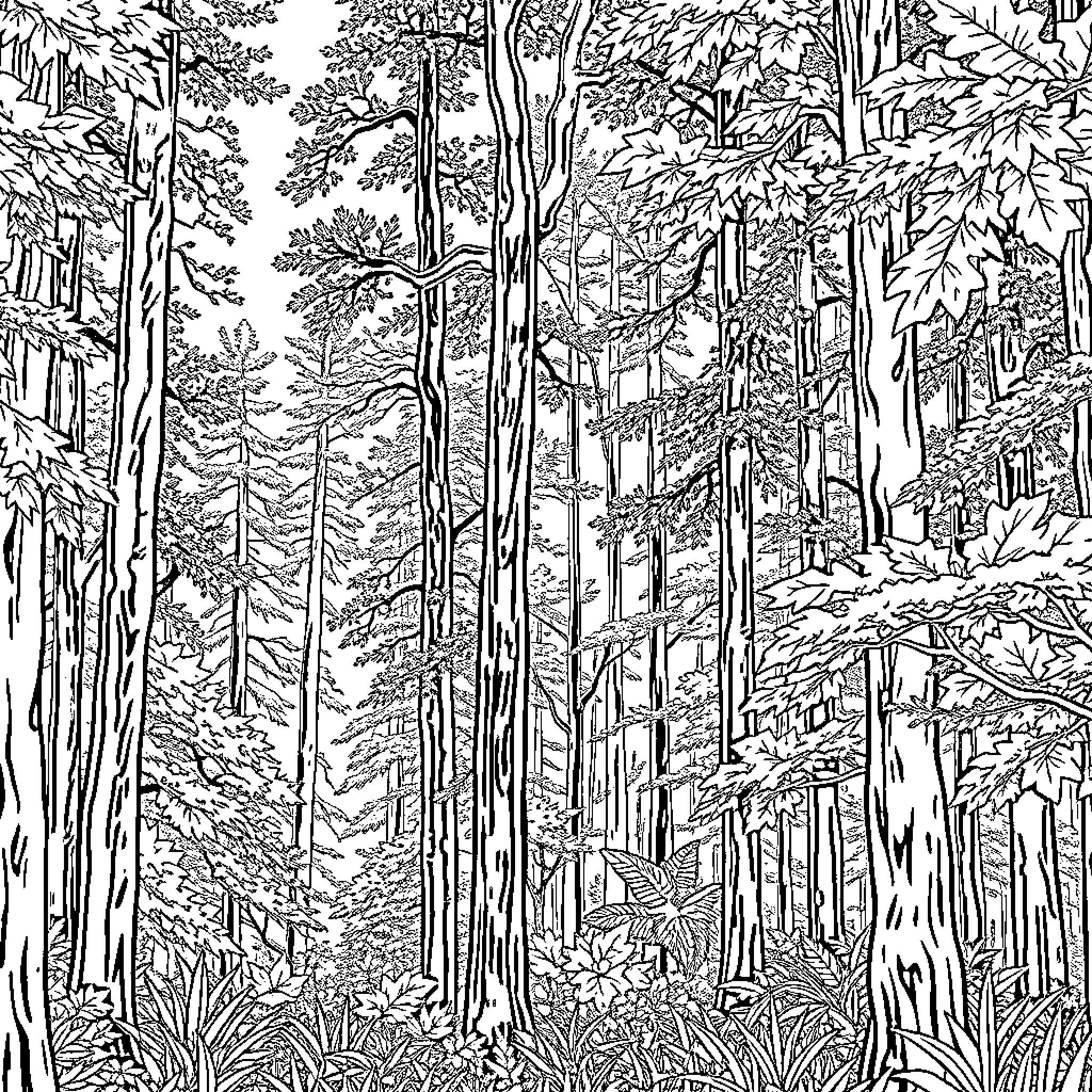 Forest Scenery of Intricate Foliage and Trees Coloring Page (free black-and-white line drawing printable PDF for all, from beginners to advanced learners, including children, teens, adults, and seniors)