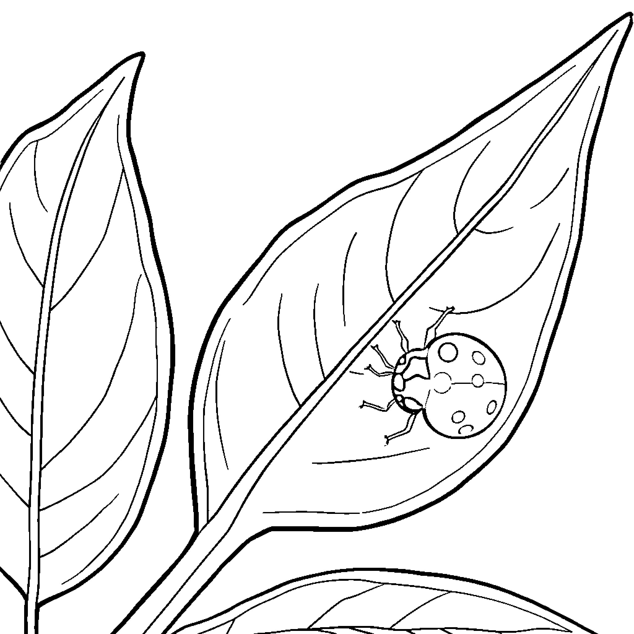 Ladybug exploring the leaves Coloring Page (free black-and-white line drawing printable PDF for all, from beginners to advanced learners, including children, teens, adults, and seniors)