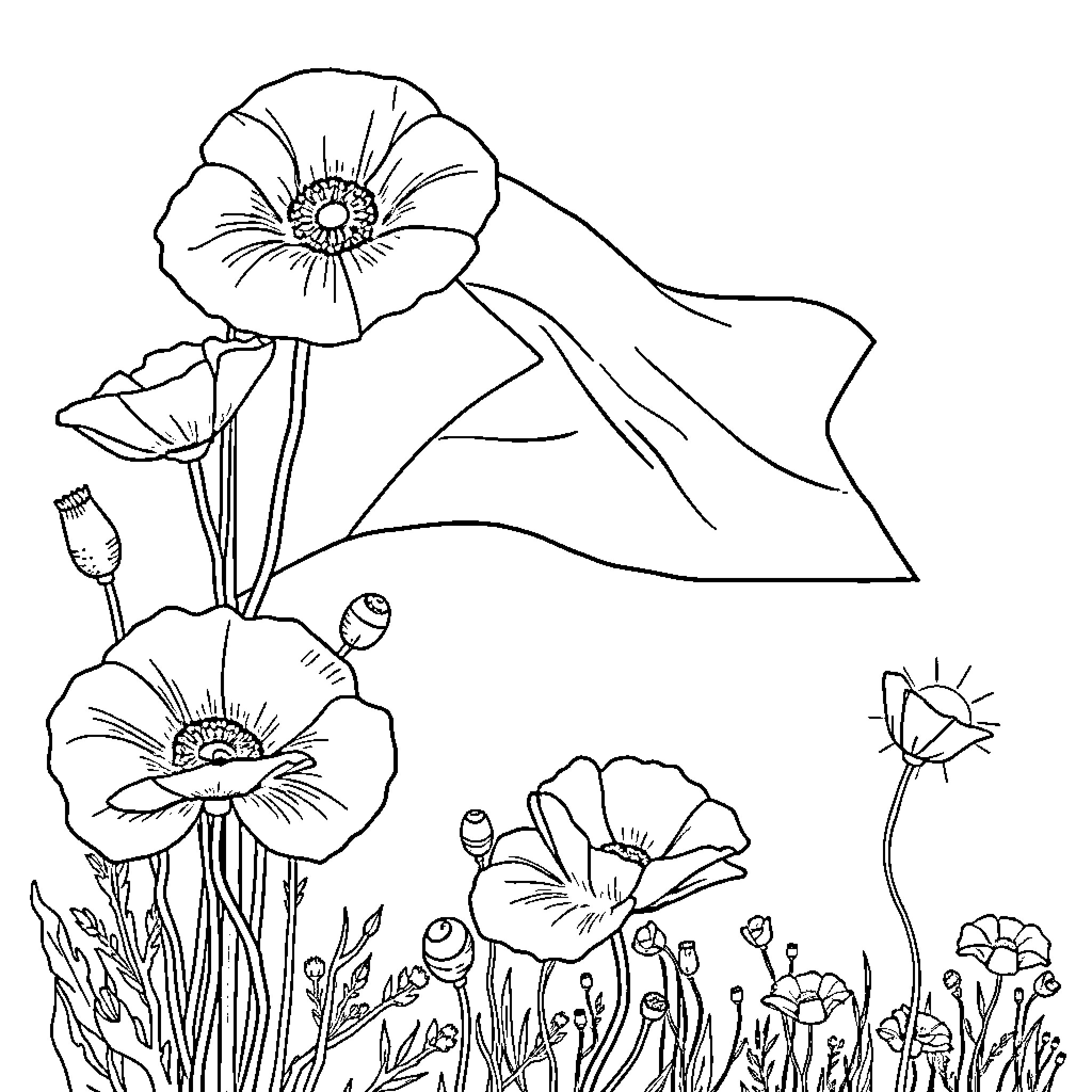 Poppy flowers blooming peacefully in the field Coloring Page (free black-and-white line drawing printable PDF for all, from beginners to advanced learners, including children, teens, adults, and seniors)