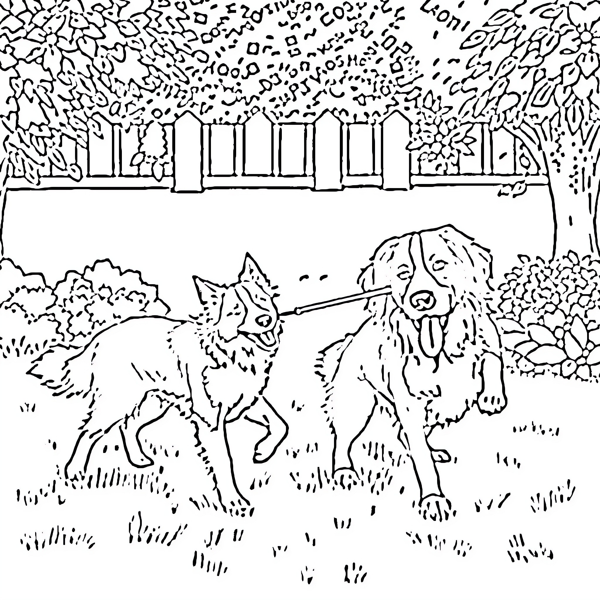 Dog and wolf playing in the park Coloring Page (free black-and-white line drawing printable PDF for all, from beginners to advanced learners, including children, teens, adults, and seniors)