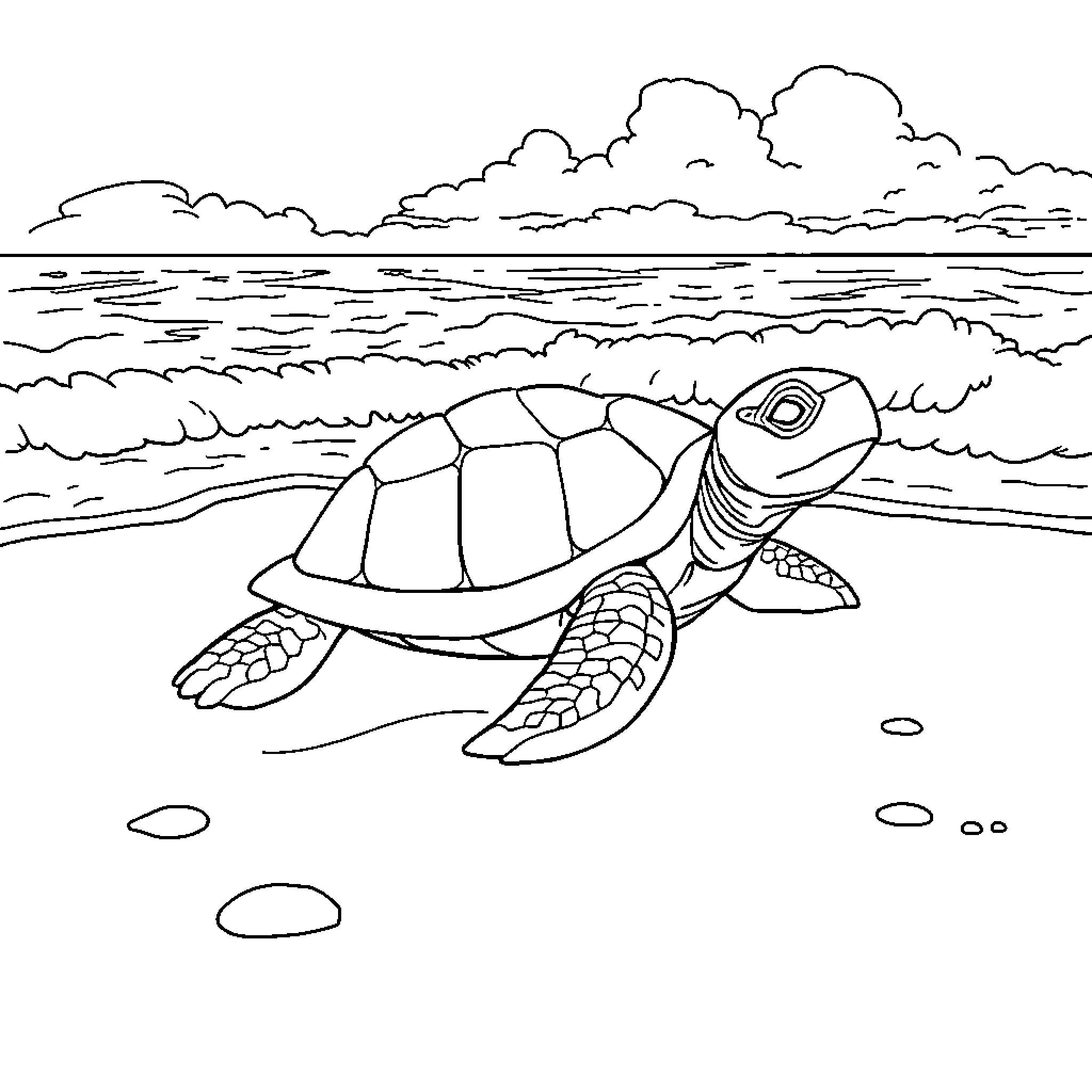 Ninja Turtle swimming calmly in the ocean Coloring Page (free black-and-white line drawing printable PDF for all, from beginners to advanced learners, including children, teens, adults, and seniors)