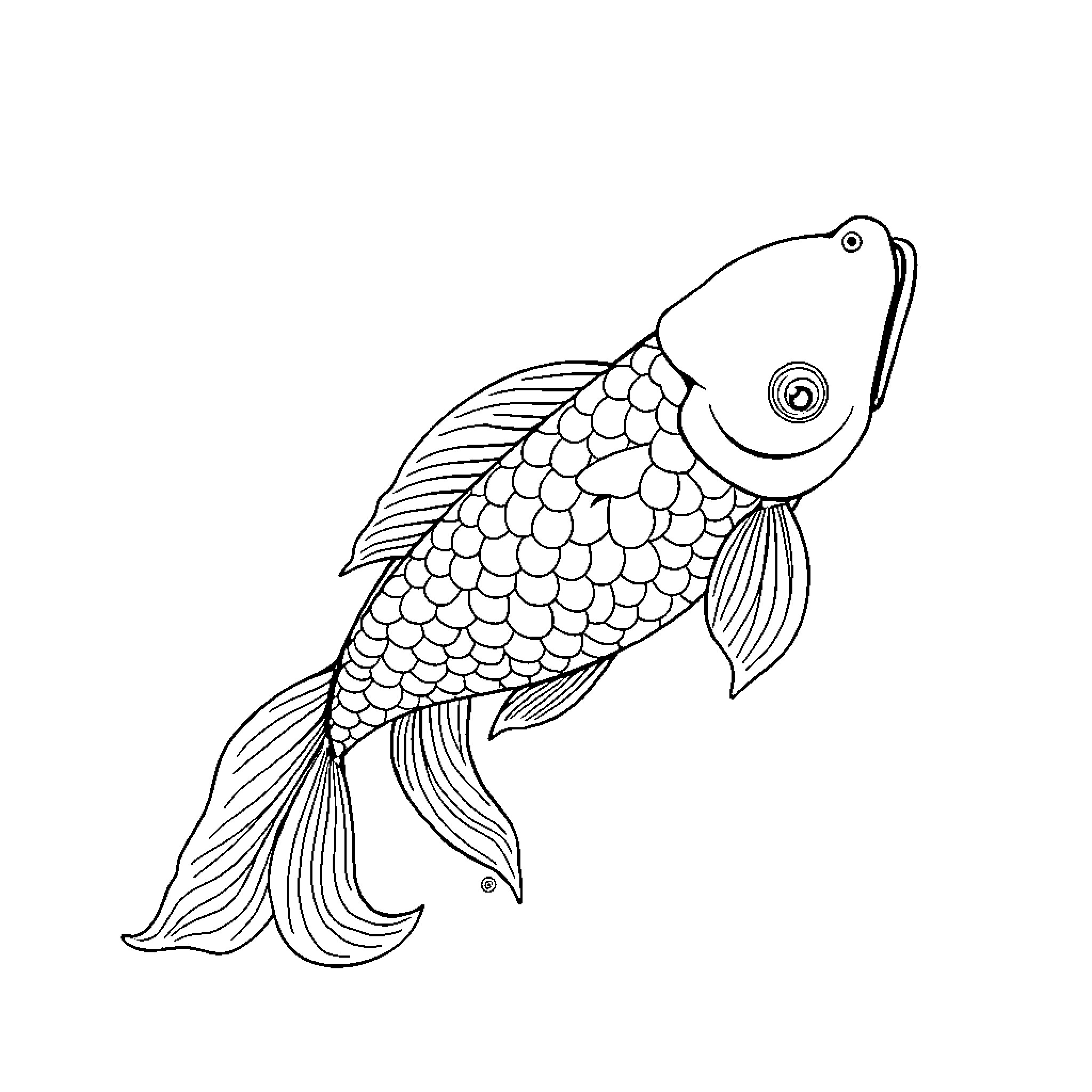 Carp swimming gracefully in a simple outline Coloring Page (free black-and-white line drawing printable PDF for all, from beginners to advanced learners, including children, teens, adults, and seniors)