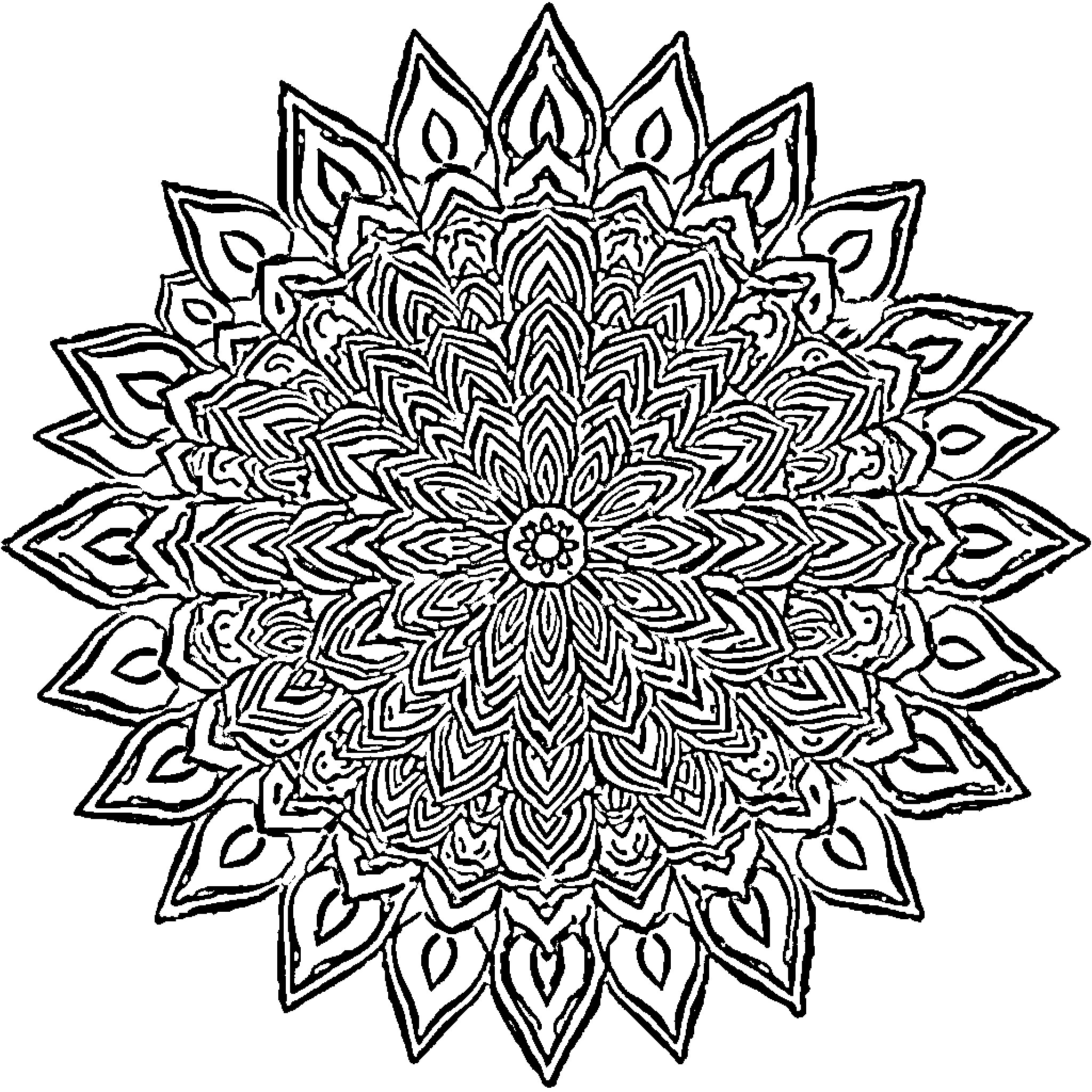 Mandala of ornate floral patterns Coloring Page (free black-and-white line drawing printable PDF for all, from beginners to advanced learners, including children, teens, adults, and seniors)