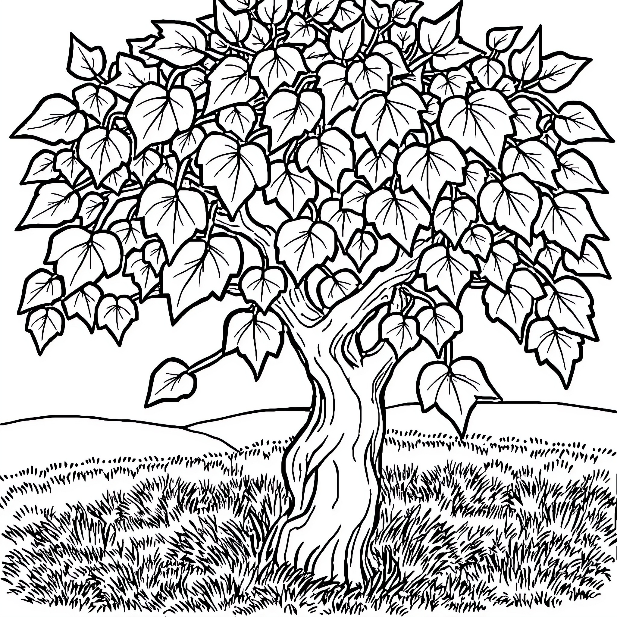 Bible Tree with Lush Foliage in Grassy Landscape Coloring Page (free black-and-white line drawing printable PDF for all, from beginners to advanced learners, including children, teens, adults, and seniors)