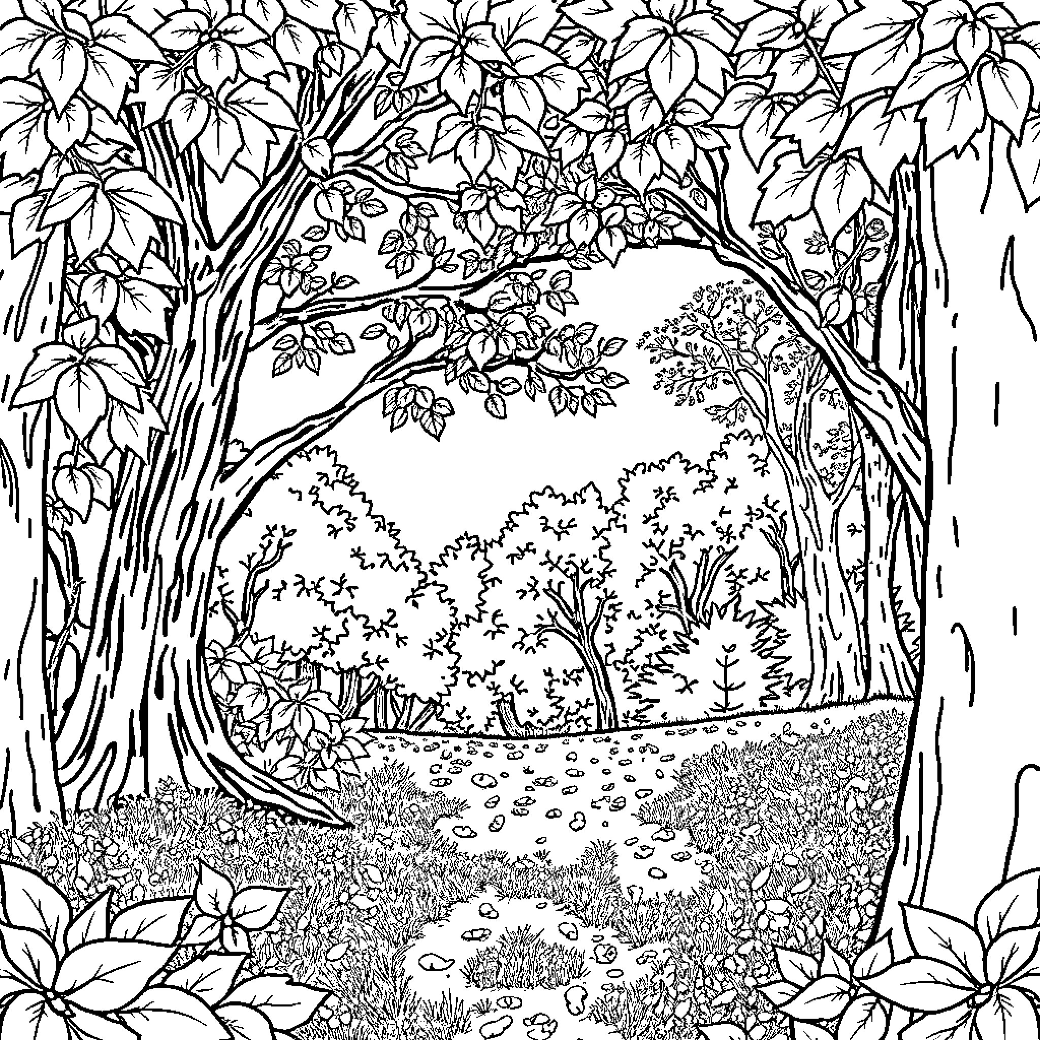 Leaf-filled forest path through lush greenery Coloring Page (free black-and-white line drawing printable PDF for all, from beginners to advanced learners, including children, teens, adults, and seniors)