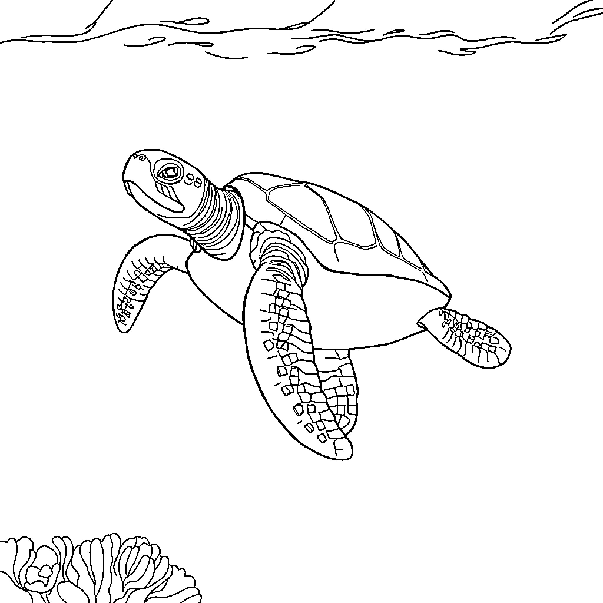 Turtle swimming amidst underwater scenery Coloring Page (free black-and-white line drawing printable PDF for all, from beginners to advanced learners, including children, teens, adults, and seniors)