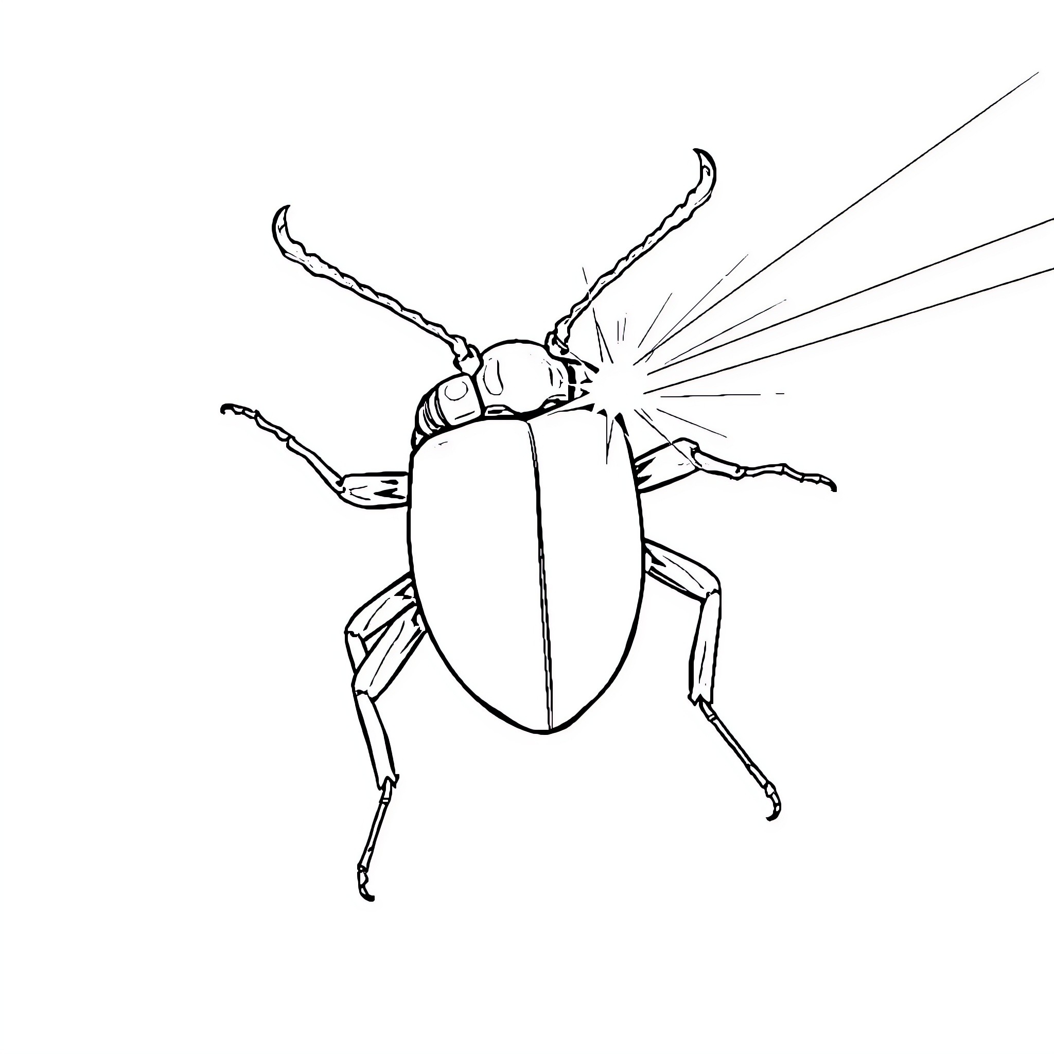 Beetle taking flight with its wings spread Coloring Page (free black-and-white line drawing printable PDF for all, from beginners to advanced learners, including children, teens, adults, and seniors)