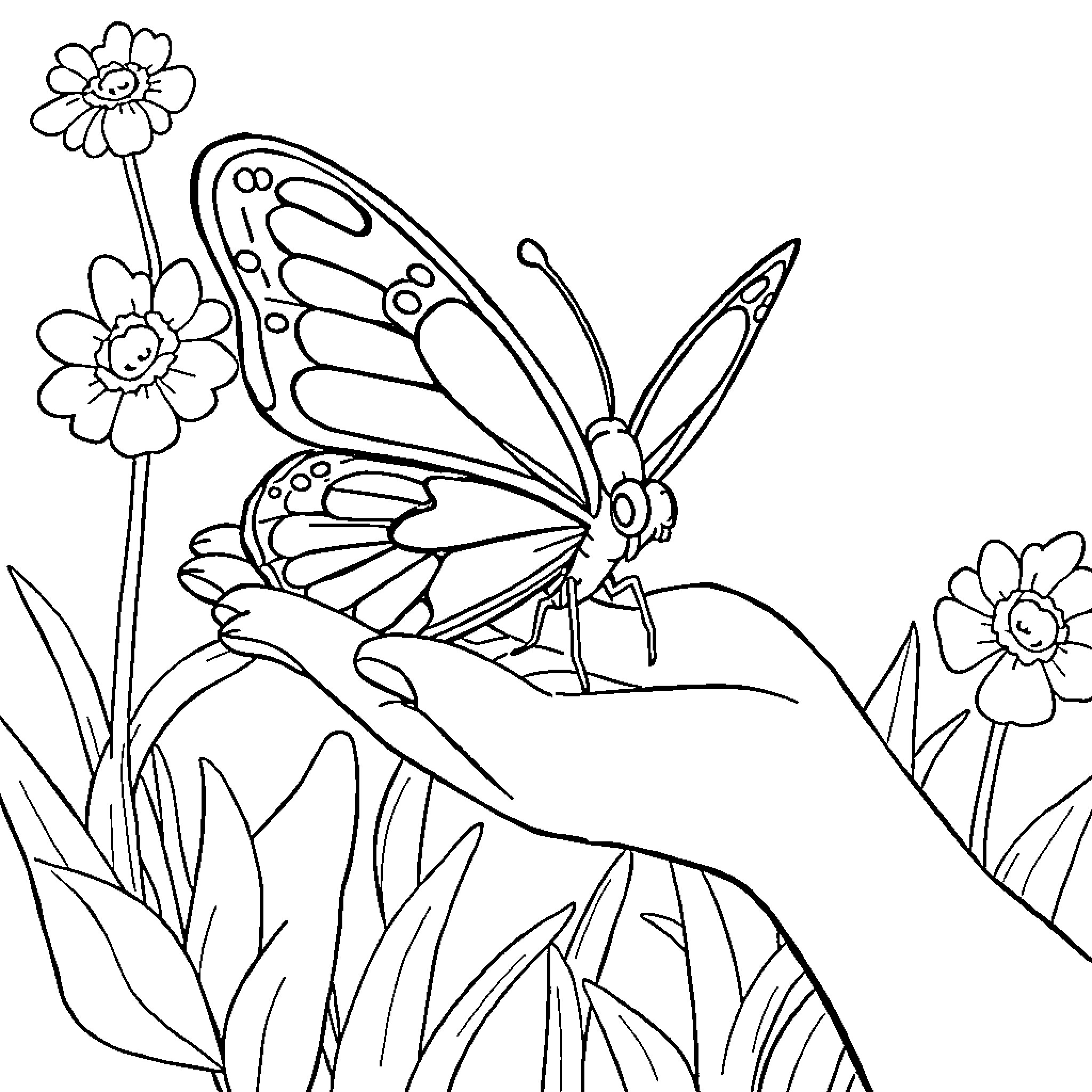 Butterfly resting amidst flowers Coloring Page (free black-and-white line drawing printable PDF for all, from beginners to advanced learners, including children, teens, adults, and seniors)