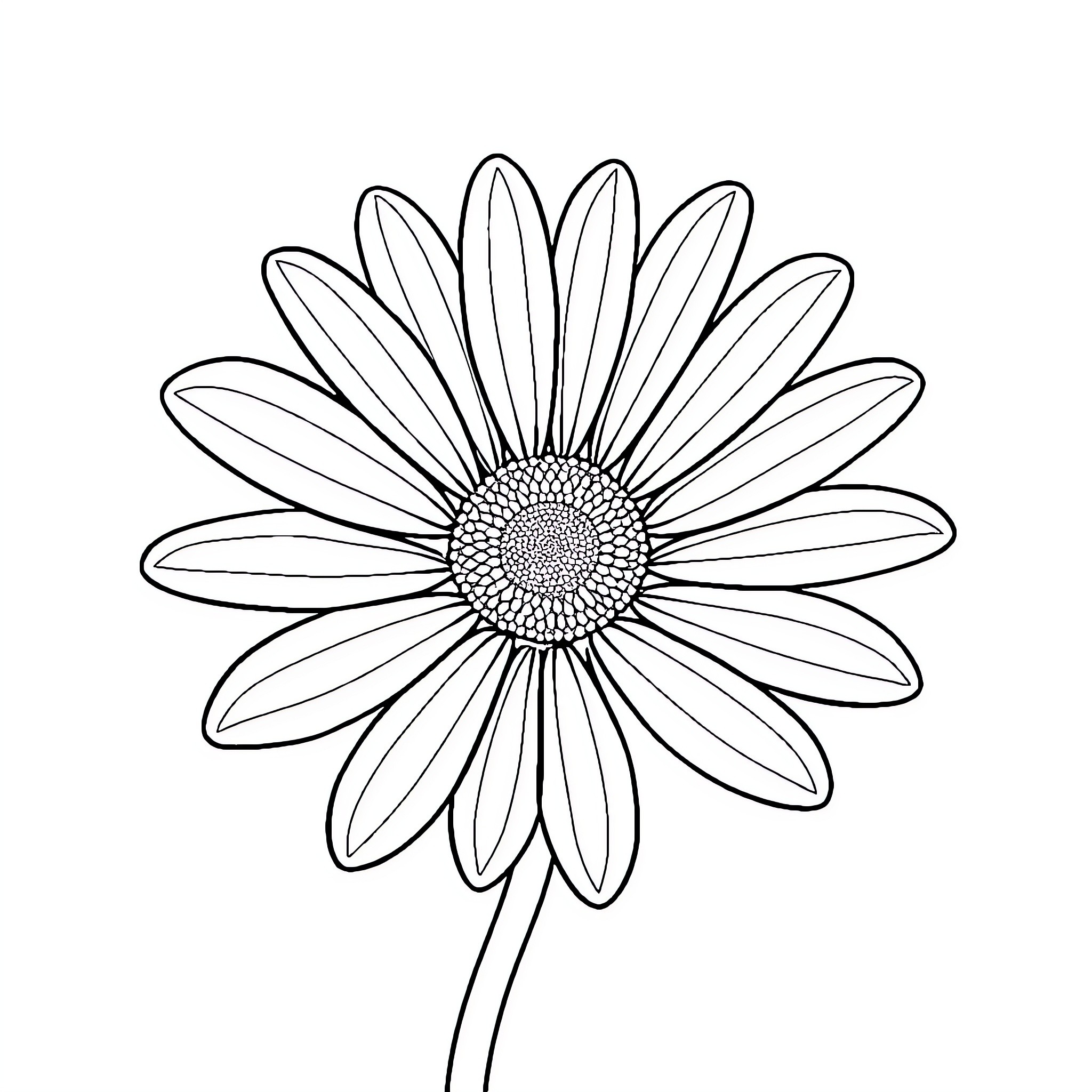 Daisy flower in simple line art style Coloring Page (free black-and-white line drawing printable PDF for all, from beginners to advanced learners, including children, teens, adults, and seniors)
