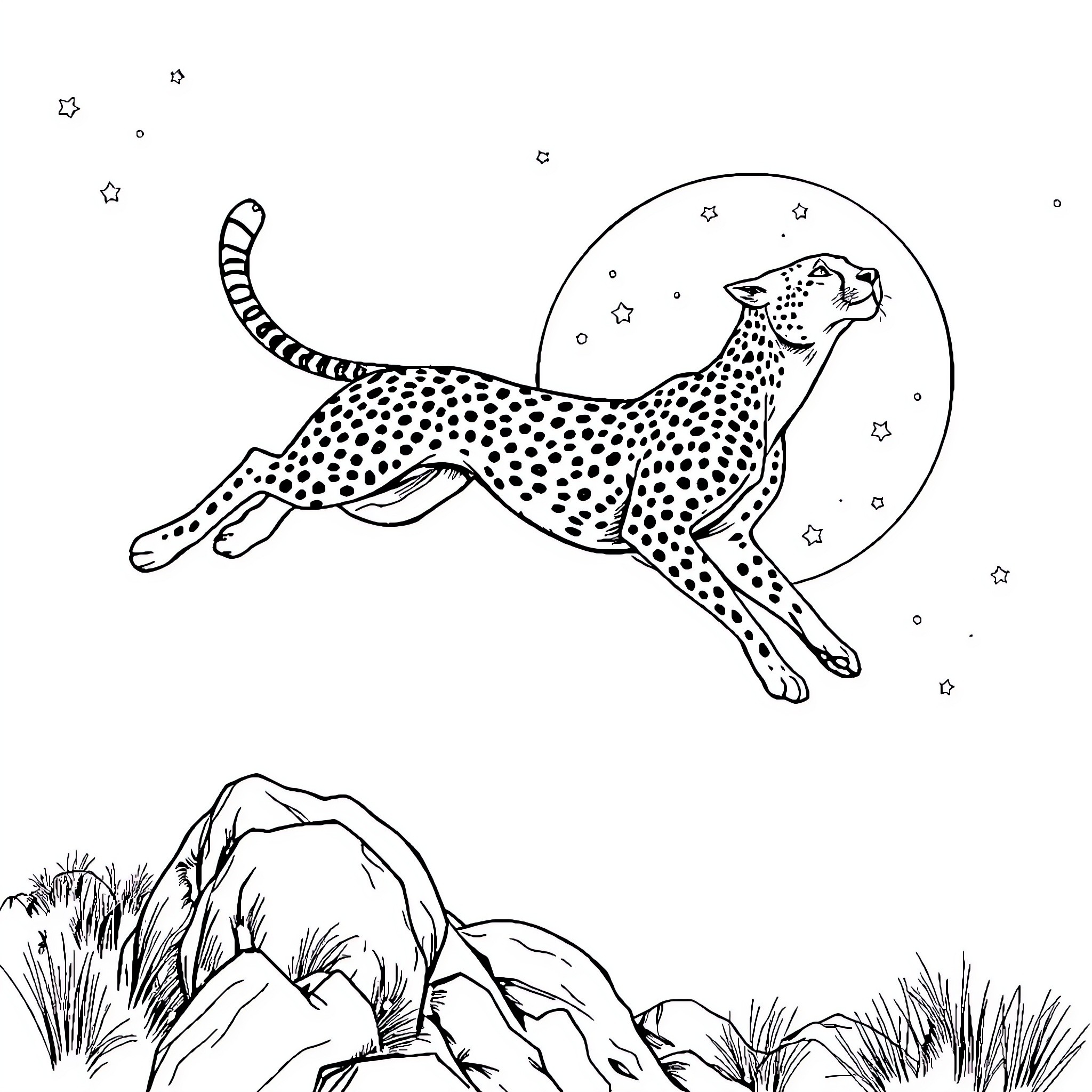 Cheetah leaping through the night sky Coloring Page (free black-and-white line drawing printable PDF for all, from beginners to advanced learners, including children, teens, adults, and seniors)