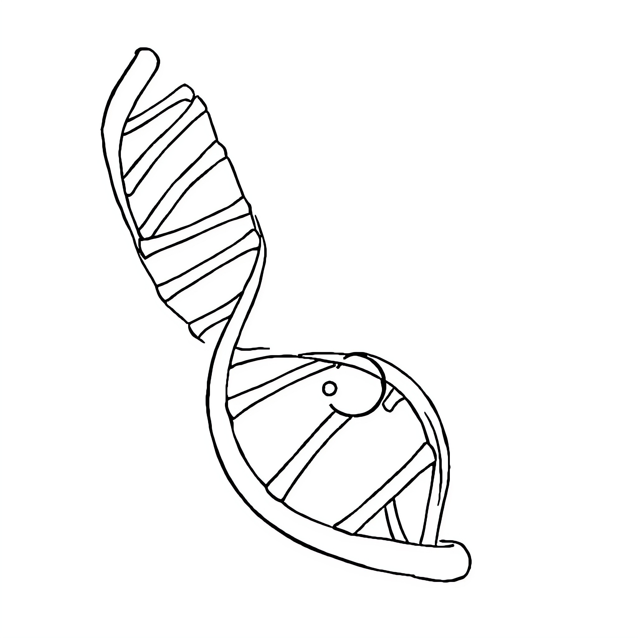 DNA strand in abstract design Coloring Page (free black-and-white line drawing printable PDF for all, from beginners to advanced learners, including children, teens, adults, and seniors)