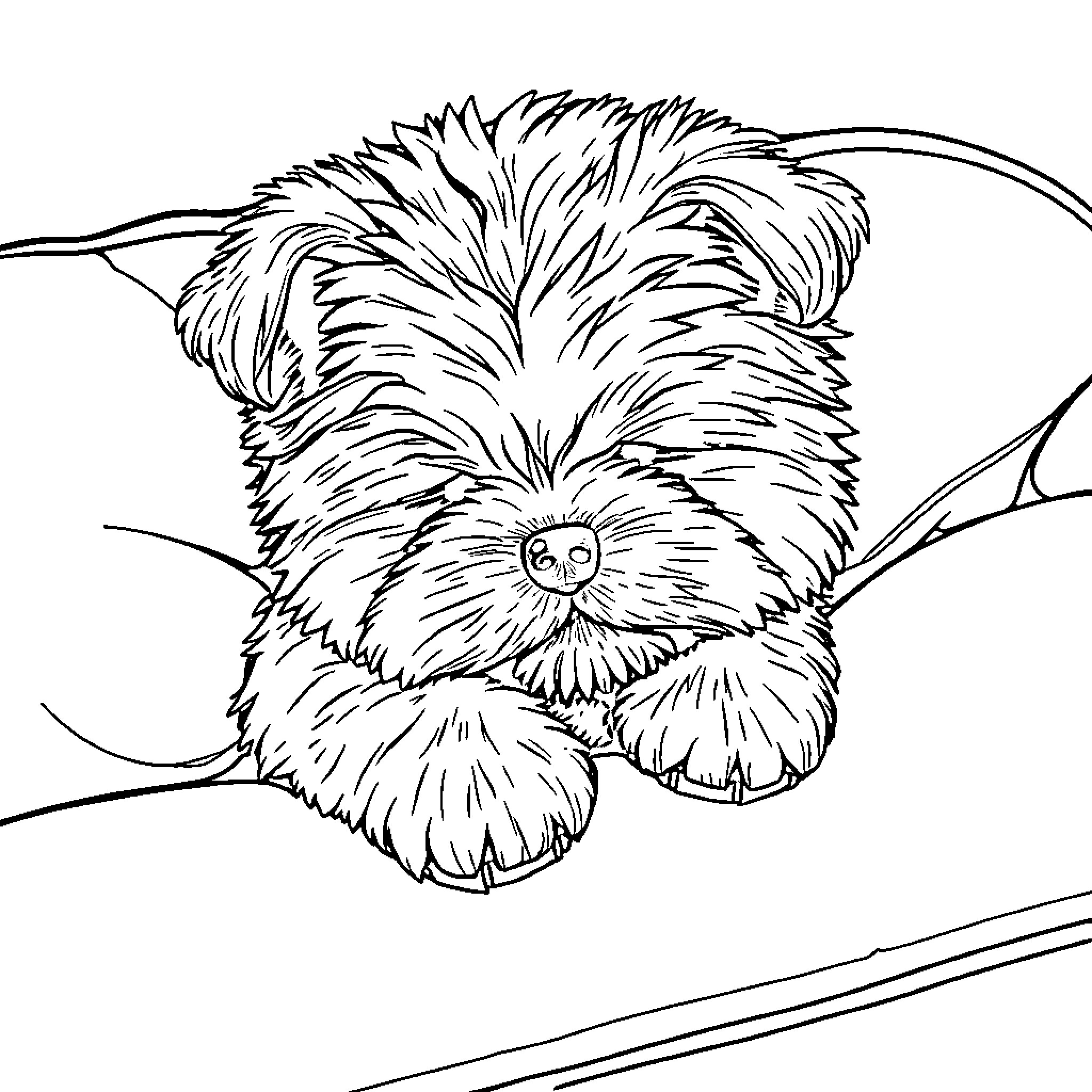 Poochon playing happily with butterflies Coloring Page (free black-and-white line drawing printable PDF for all, from beginners to advanced learners, including children, teens, adults, and seniors)
