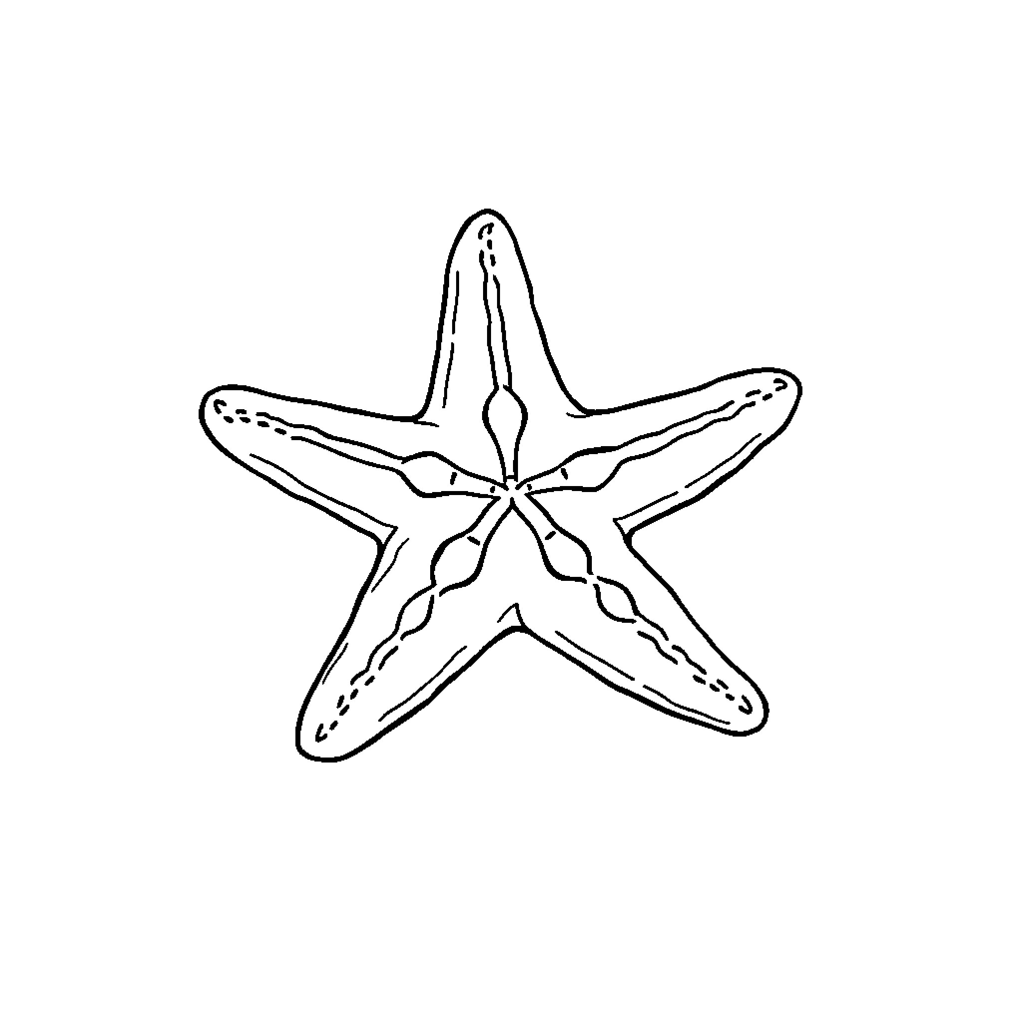 Star Fish Outlined Simple Design Coloring Page (free black-and-white line drawing printable PDF for all, from beginners to advanced learners, including children, teens, adults, and seniors)