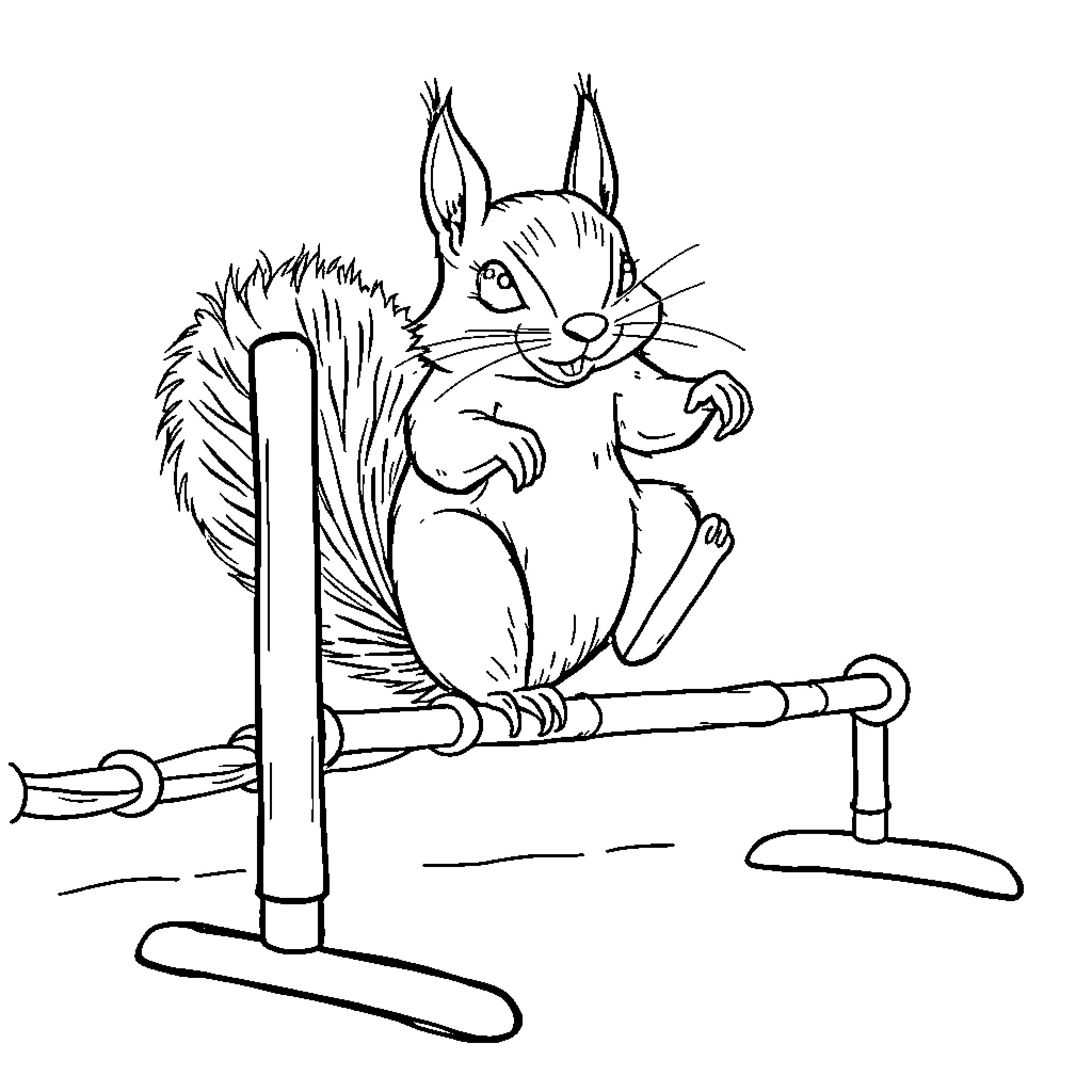 Squirrel exercising on fitness equipment Coloring Page (free black-and-white line drawing printable PDF for all, from beginners to advanced learners, including children, teens, adults, and seniors)
