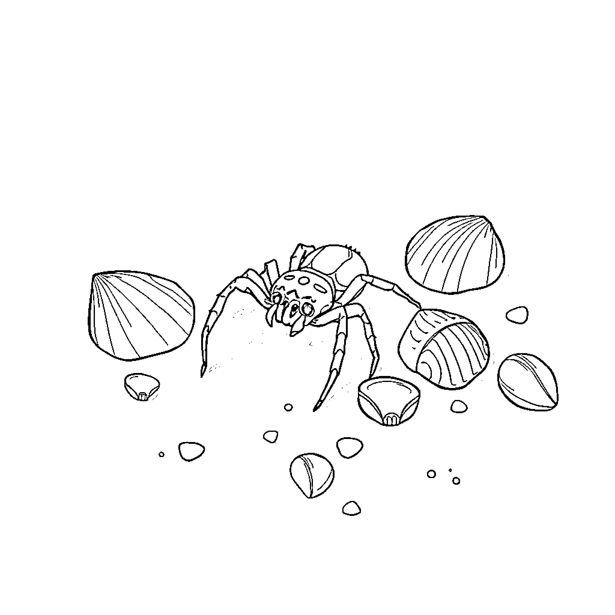 Spider scurrying among seashells Coloring Page (free black-and-white line drawing printable PDF for all, from beginners to advanced learners, including children, teens, adults, and seniors)
