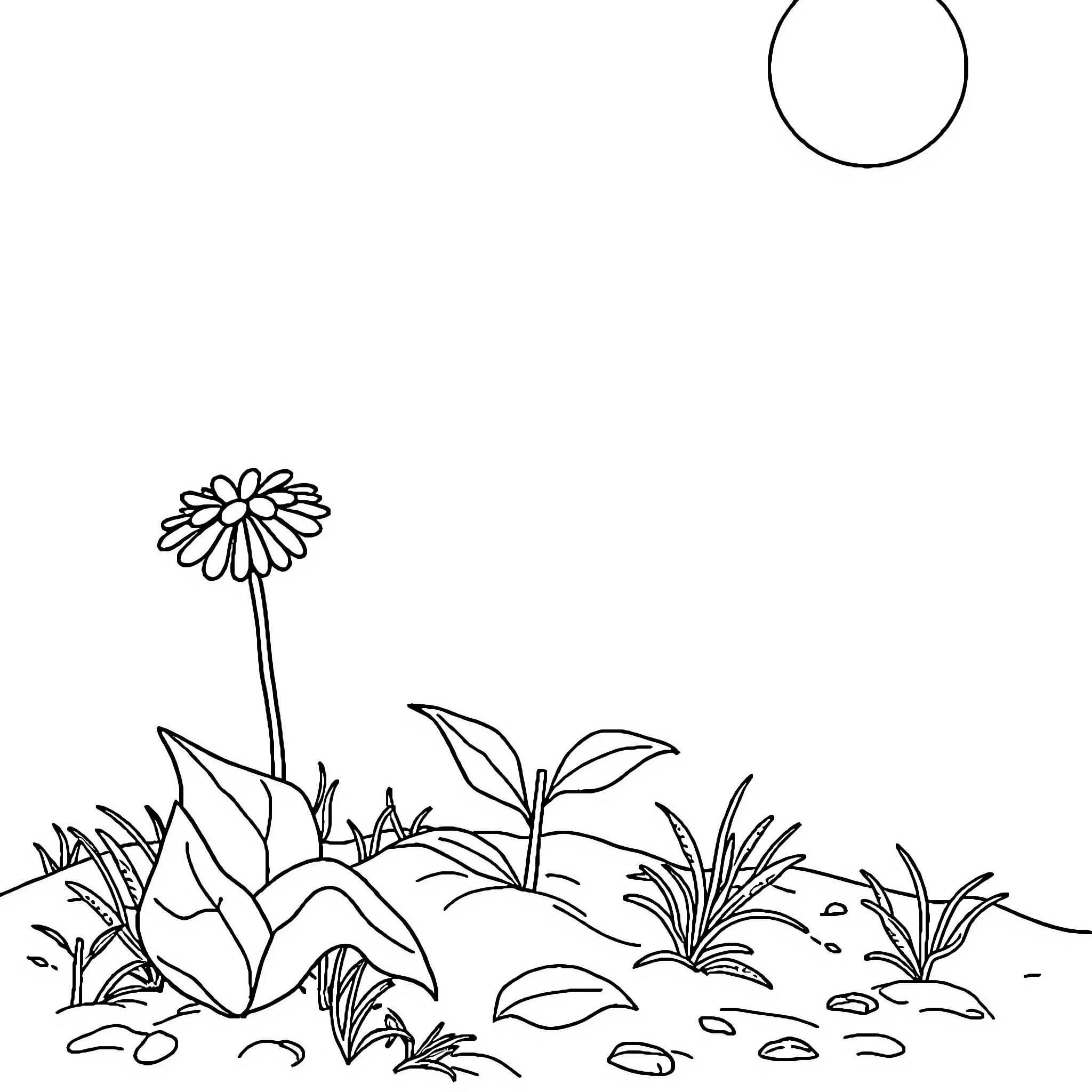Abiotic Factor Floral Landscape with Moon Coloring Page (free black-and-white line drawing printable PDF for all, from beginners to advanced learners, including children, teens, adults, and seniors)