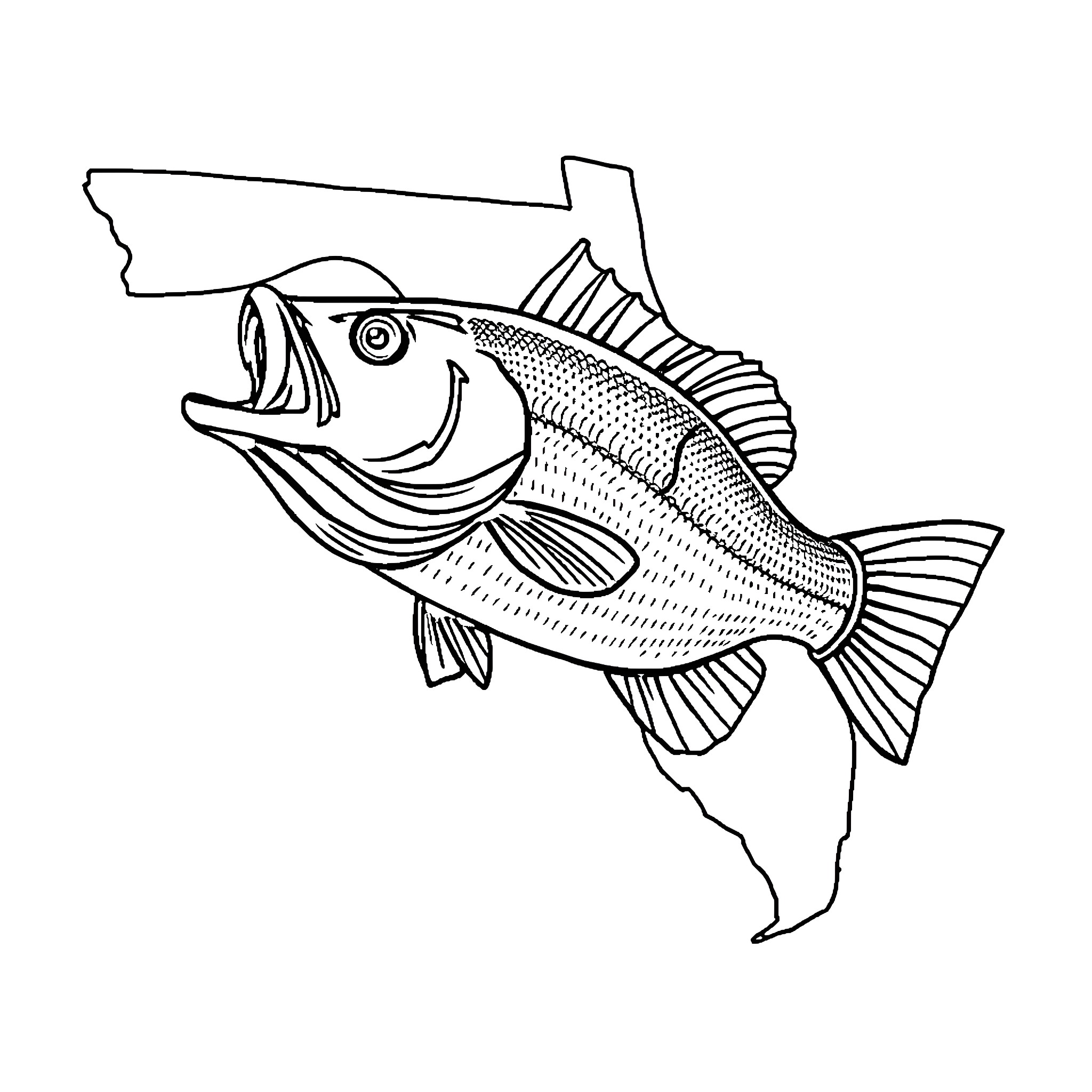 Bass fish leaping with lure attached Coloring Page (free black-and-white line drawing printable PDF for all, from beginners to advanced learners, including children, teens, adults, and seniors)