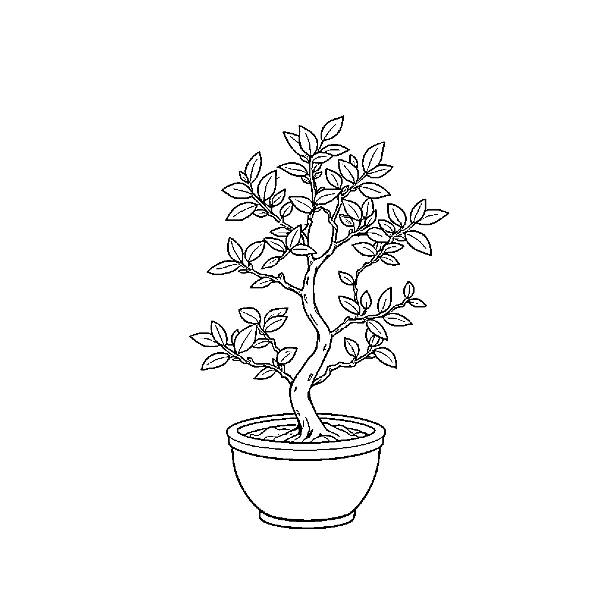 Bonsai tree growing in a pot Coloring Page (free black-and-white line drawing printable PDF for all, from beginners to advanced learners, including children, teens, adults, and seniors)
