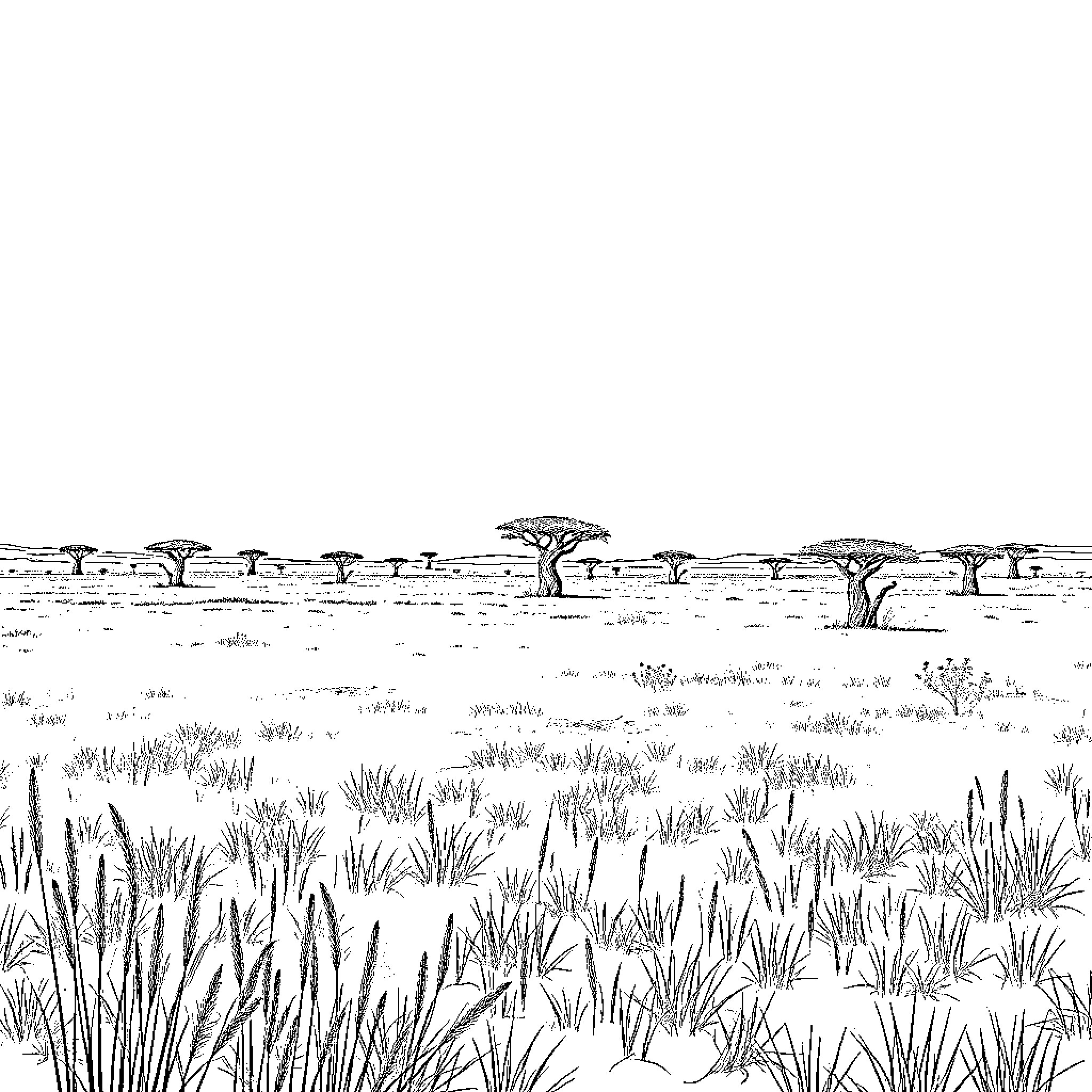 Savannah landscape with scattered trees and grassy terrain Coloring Page (free black-and-white line drawing printable PDF for all, from beginners to advanced learners, including children, teens, adults, and seniors)