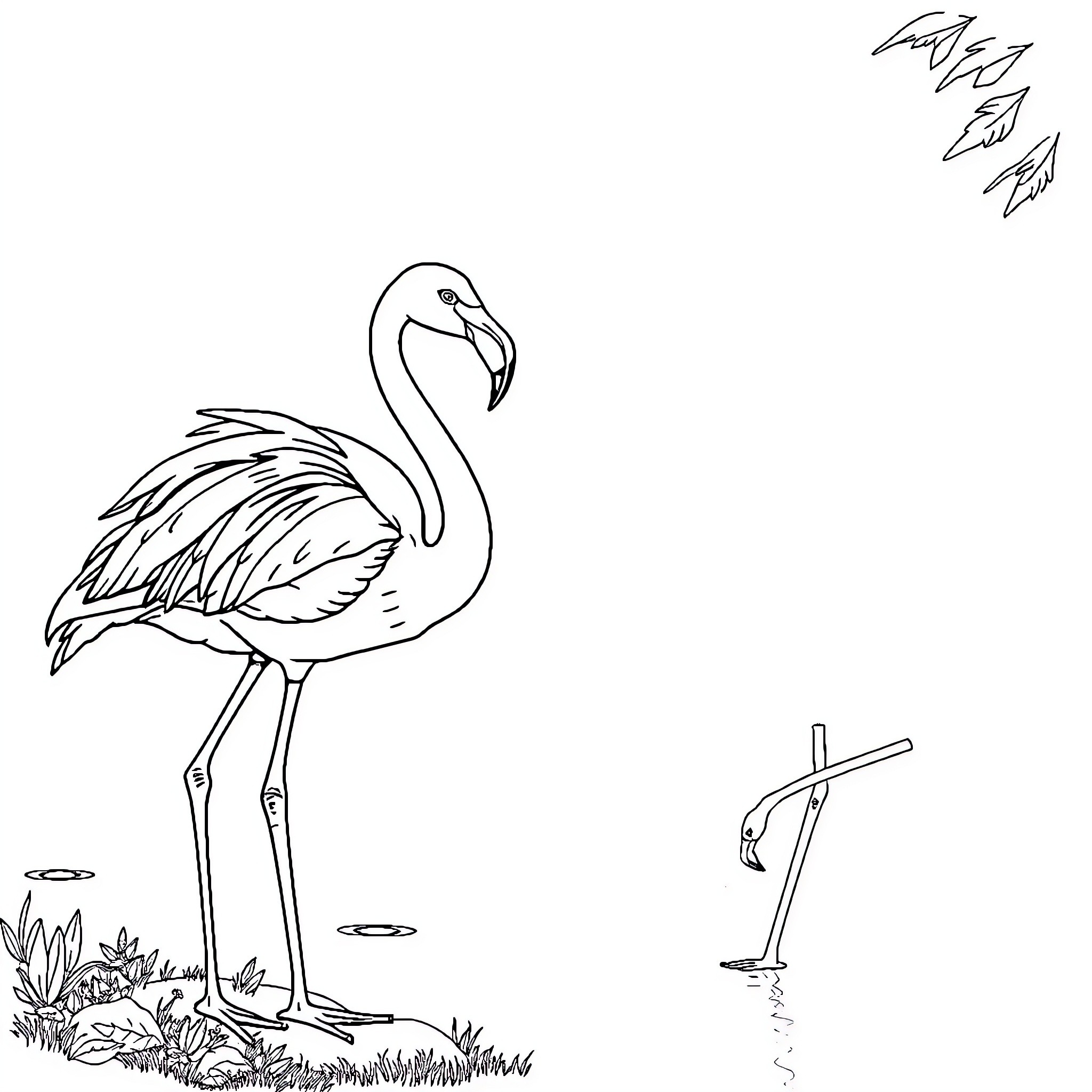 Flamingo gracefully standing amidst nature Coloring Page (free black-and-white line drawing printable PDF for all, from beginners to advanced learners, including children, teens, adults, and seniors)