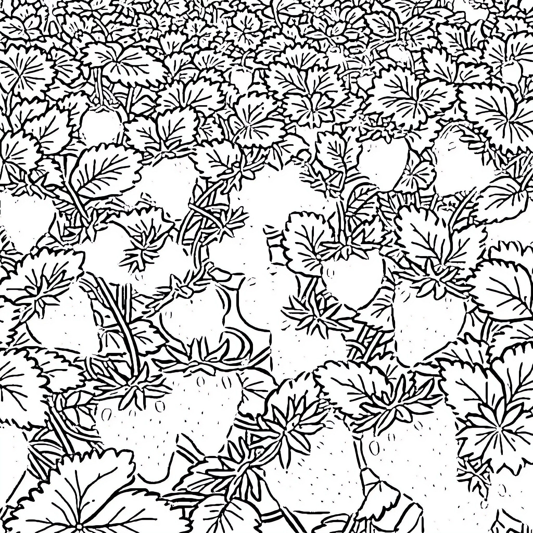Strawberry Field Full of Blooming Flowers Coloring Page (free black-and-white line drawing printable PDF for all, from beginners to advanced learners, including children, teens, adults, and seniors)