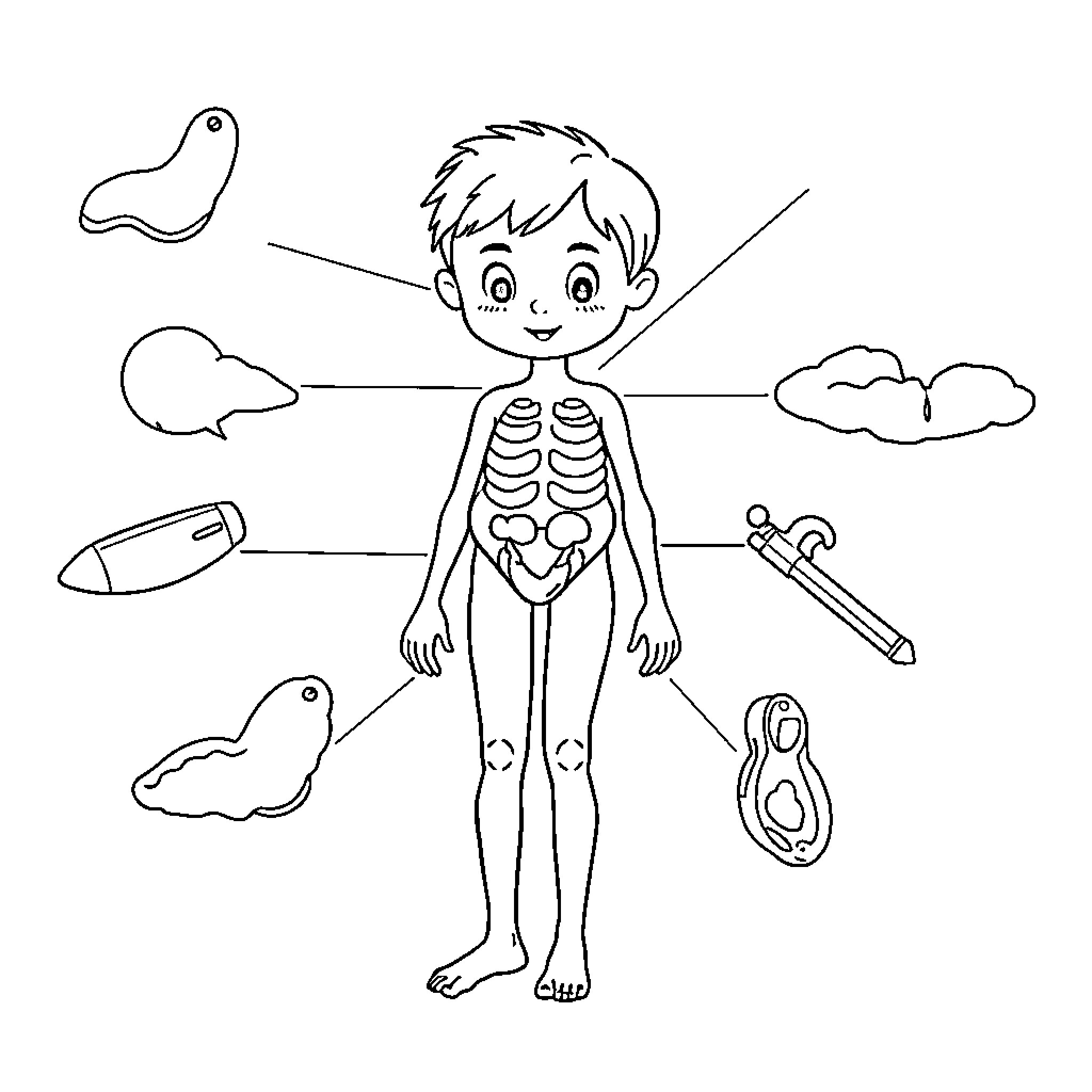 Body Parts: Educational Diagram of Human Anatomy Coloring Page (free black-and-white line drawing printable PDF for all, from beginners to advanced learners, including children, teens, adults, and seniors)