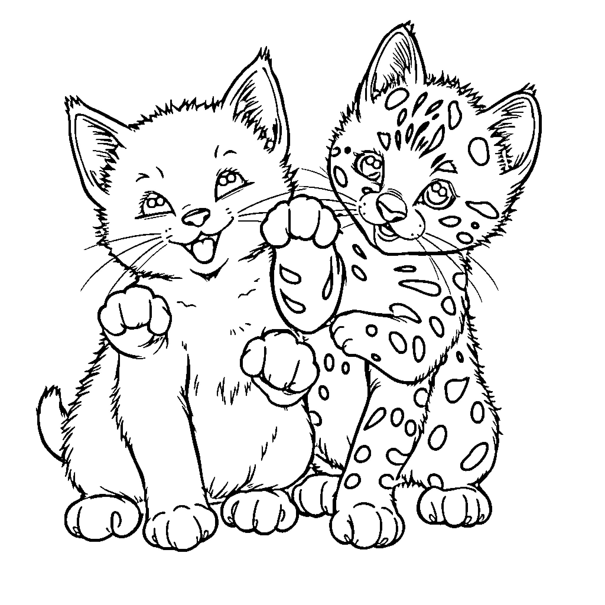 Kitten embracing spotted feline friend playfully Coloring Page (free black-and-white line drawing printable PDF for all, from beginners to advanced learners, including children, teens, adults, and seniors)