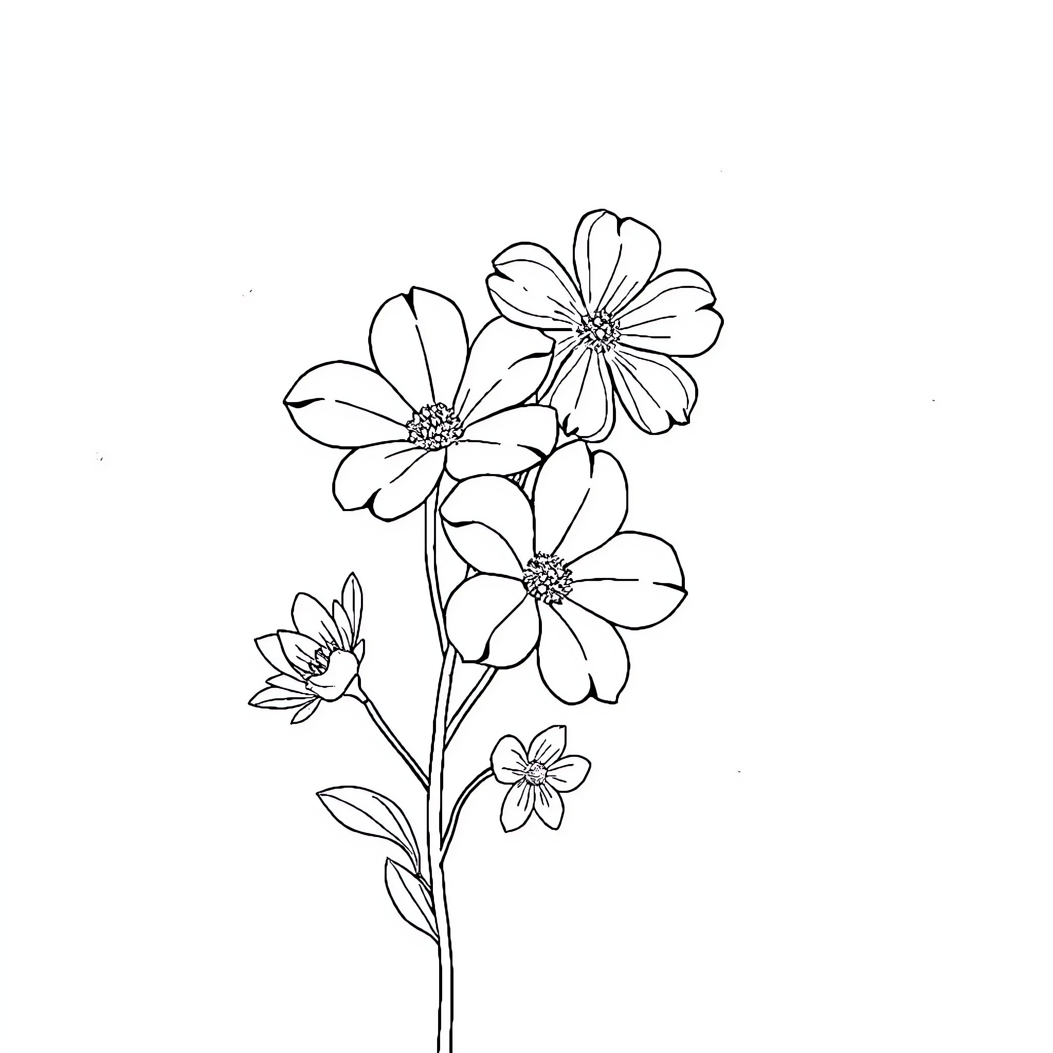 Flower Bouquet with Delicate Blossoms Coloring Page (free black-and-white line drawing printable PDF for all, from beginners to advanced learners, including children, teens, adults, and seniors)