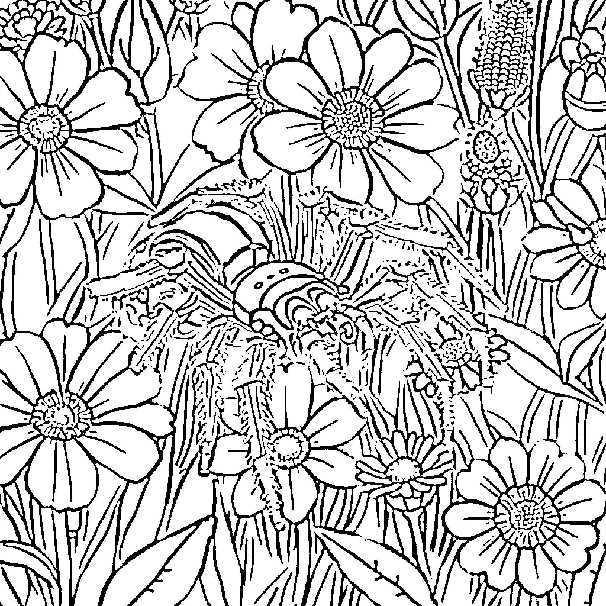 Tarantula in a field of flowers Coloring Page (free black-and-white line drawing printable PDF for all, from beginners to advanced learners, including children, teens, adults, and seniors)