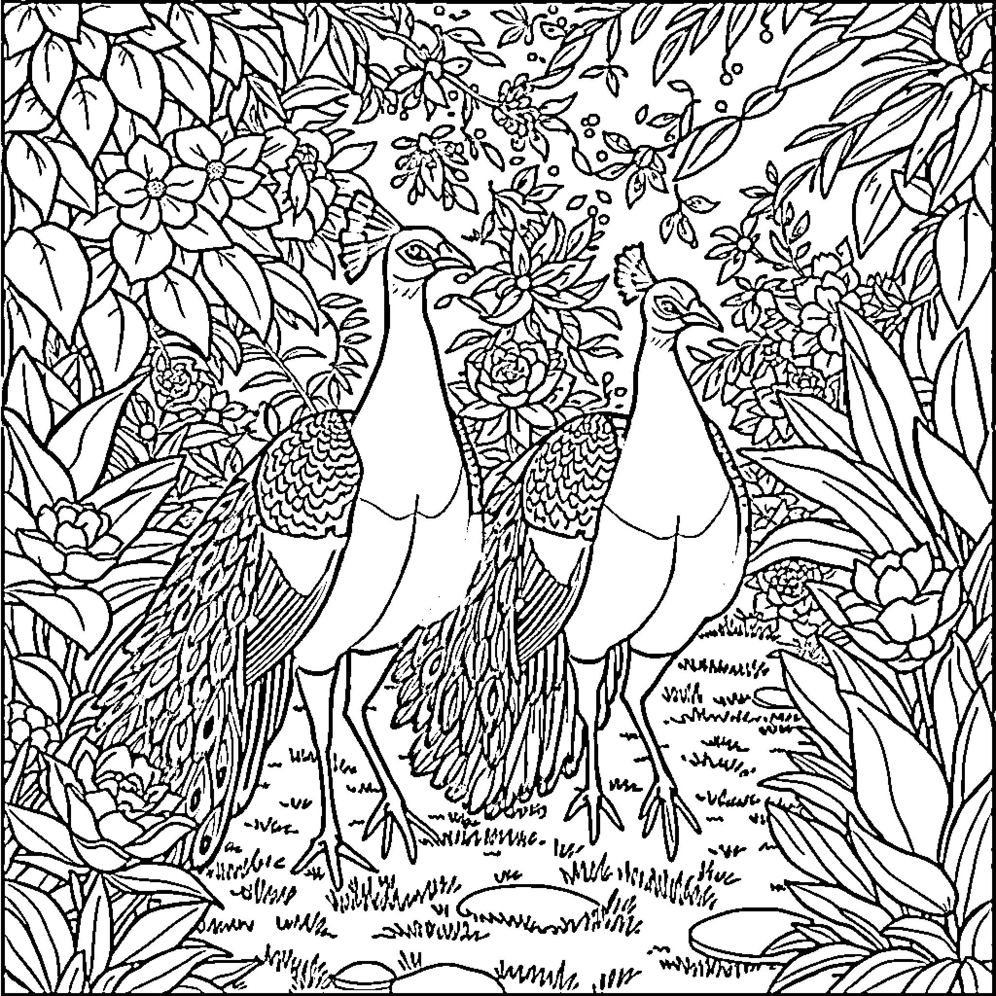 Peacock-like birds in a lush, floral garden Coloring Page (free black-and-white line drawing printable PDF for all, from beginners to advanced learners, including children, teens, adults, and seniors)