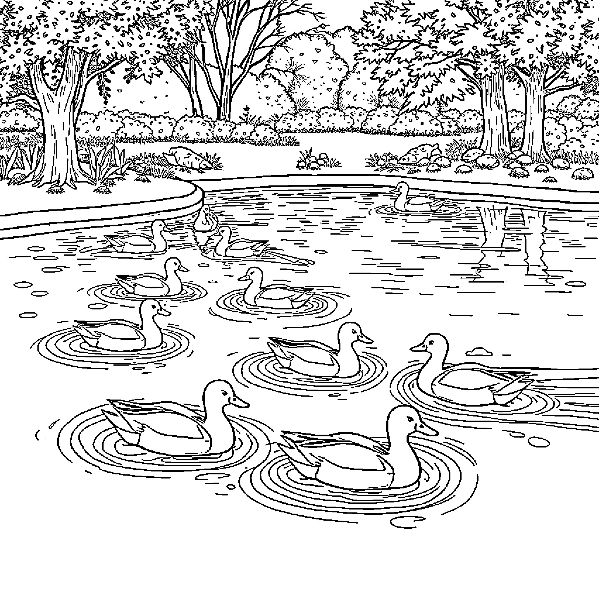 Ducks swimming peacefully in a serene pond Coloring Page (free black-and-white line drawing printable PDF for all, from beginners to advanced learners, including children, teens, adults, and seniors)
