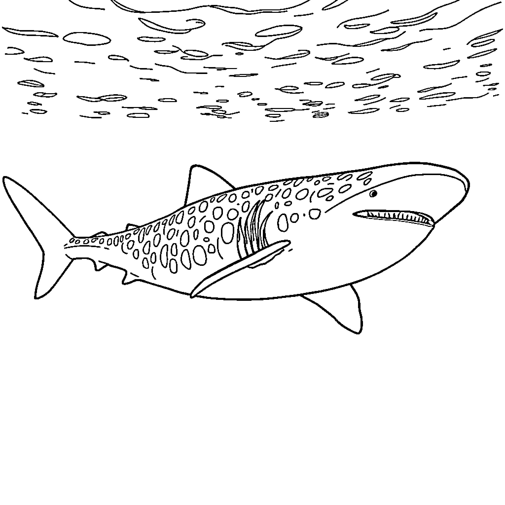 Whale Shark swimming in the ocean Coloring Page (free black-and-white line drawing printable PDF for all, from beginners to advanced learners, including children, teens, adults, and seniors)
