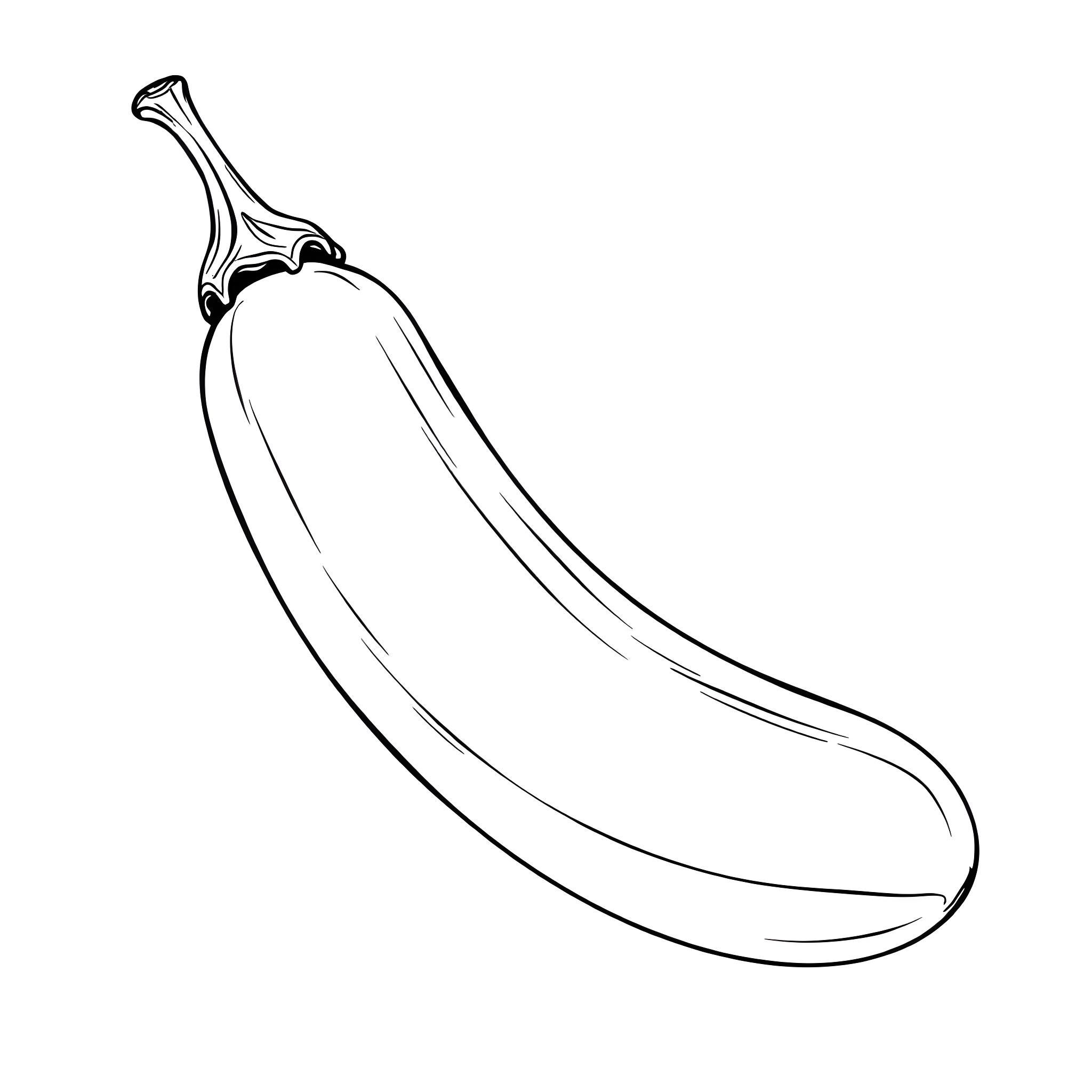Brinjal in simple outline Coloring Page (free black-and-white line drawing printable PDF for all, from beginners to advanced learners, including children, teens, adults, and seniors)