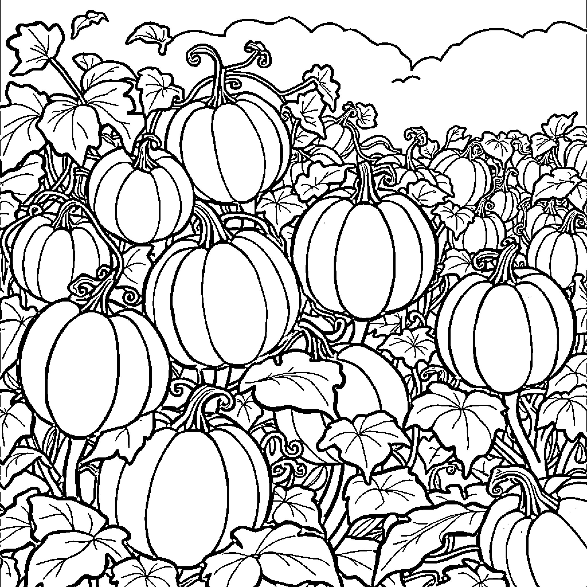 Pumpkin Patch Abundance Coloring Page (free black-and-white line drawing printable PDF for all, from beginners to advanced learners, including children, teens, adults, and seniors)