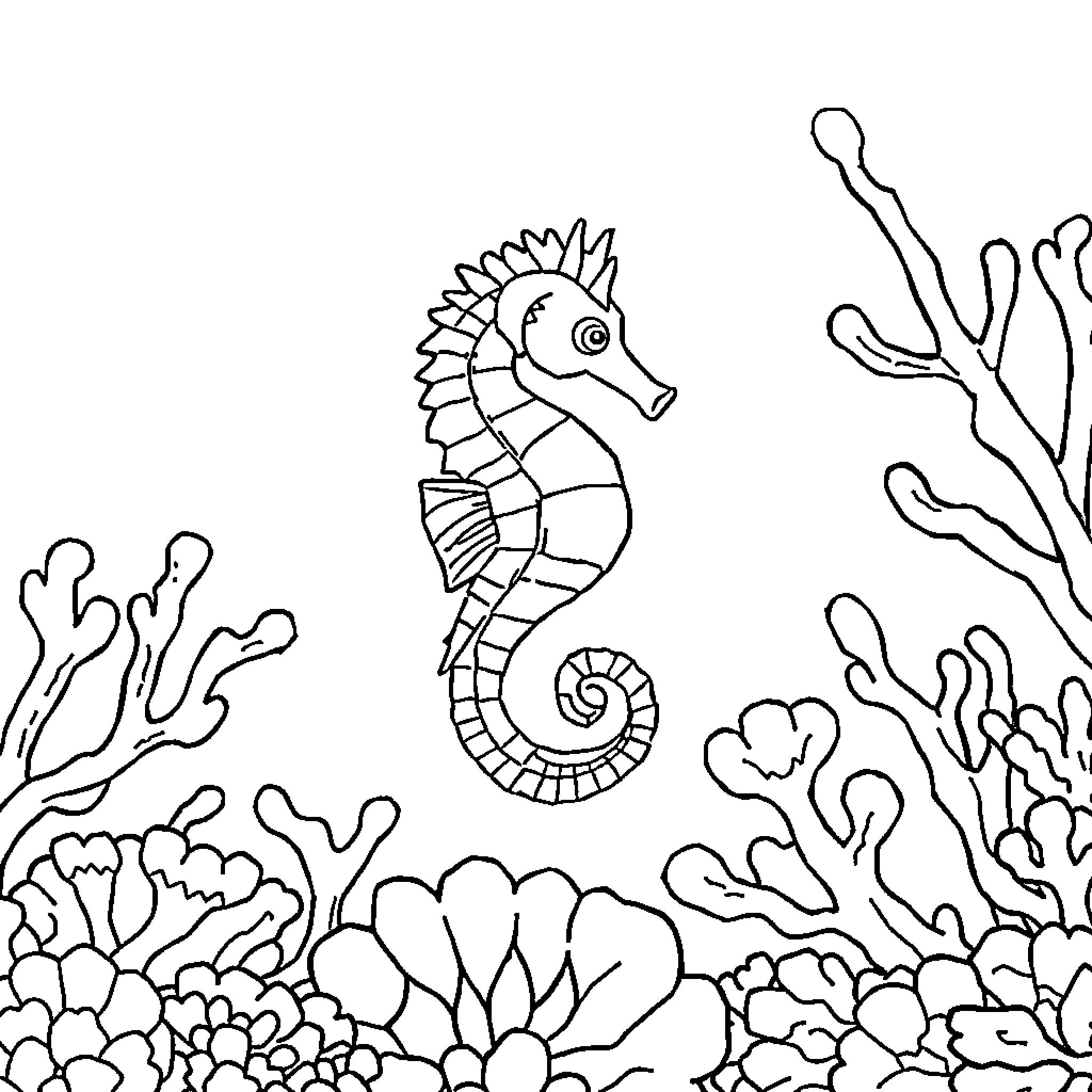 Seahorse swimming amongst coral and marine life Coloring Page (free black-and-white line drawing printable PDF for all, from beginners to advanced learners, including children, teens, adults, and seniors)
