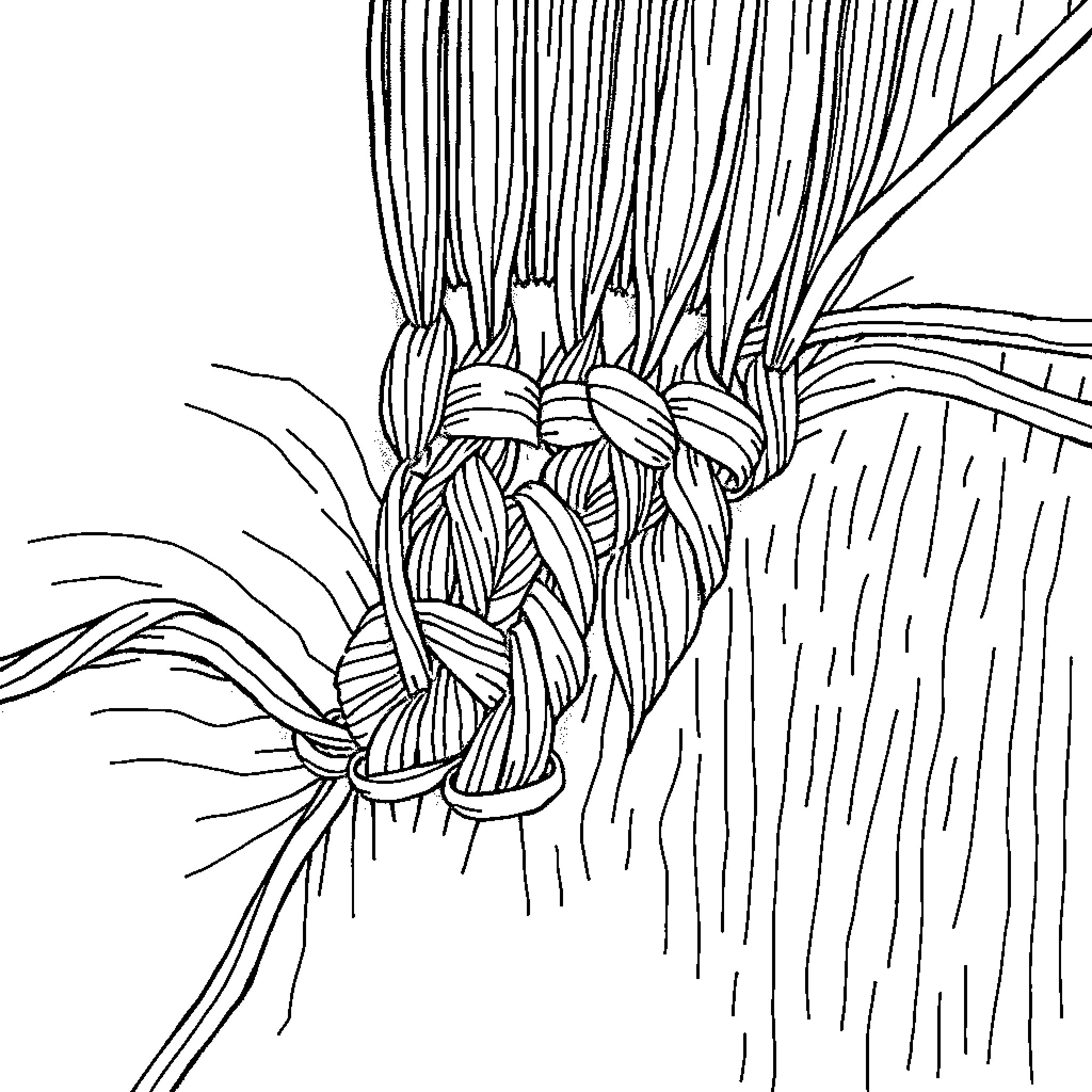 Stitch weaving intricate patterns Coloring Page (free black-and-white line drawing printable PDF for all, from beginners to advanced learners, including children, teens, adults, and seniors)