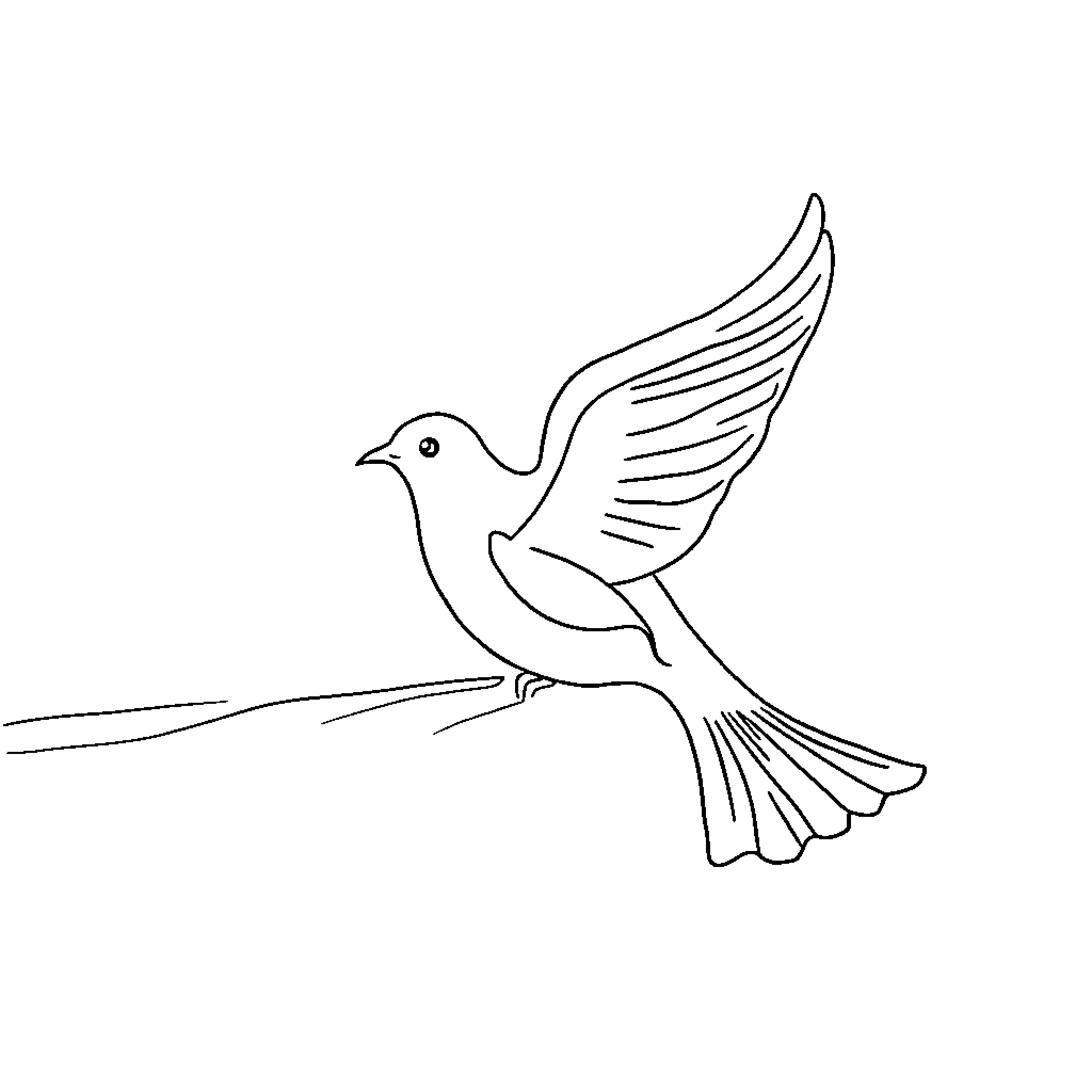 Dove with outstretched wings Coloring Page (free black-and-white line drawing printable PDF for all, from beginners to advanced learners, including children, teens, adults, and seniors)