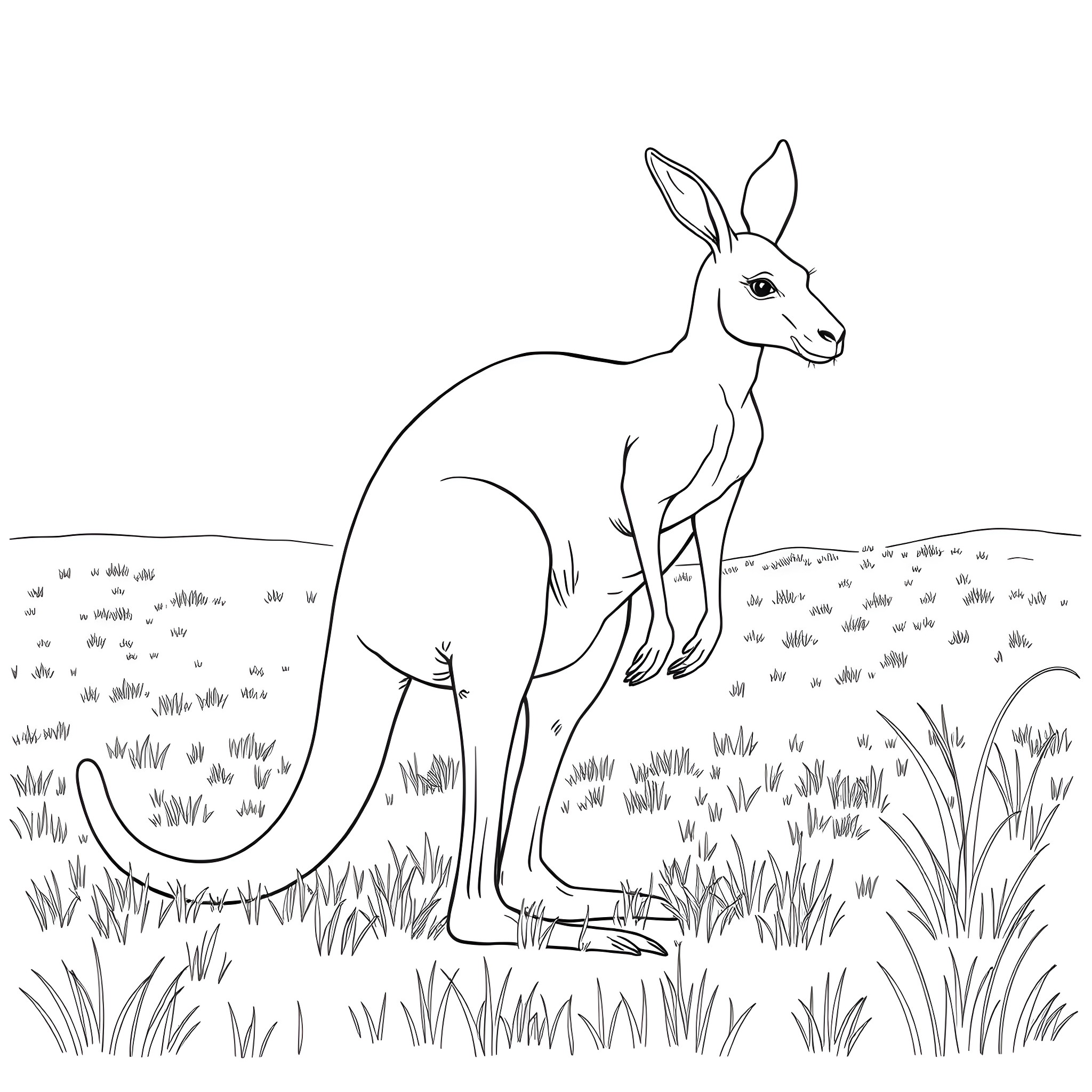 Kangaroo standing in the grassy field Coloring Page (free black-and-white line drawing printable PDF for all, from beginners to advanced learners, including children, teens, adults, and seniors)
