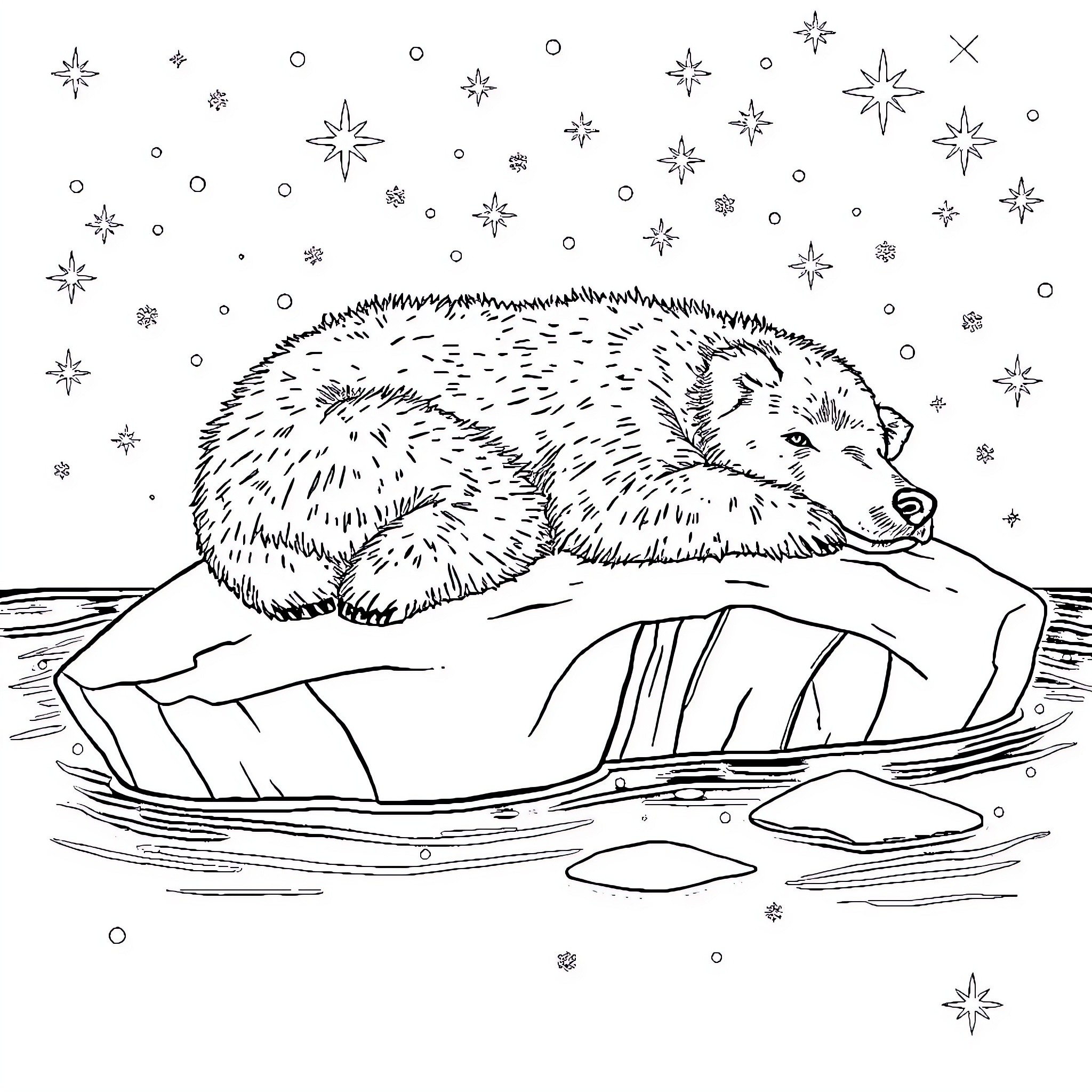 Polar Bear resting on ice floe Coloring Page (free black-and-white line drawing printable PDF for all, from beginners to advanced learners, including children, teens, adults, and seniors)
